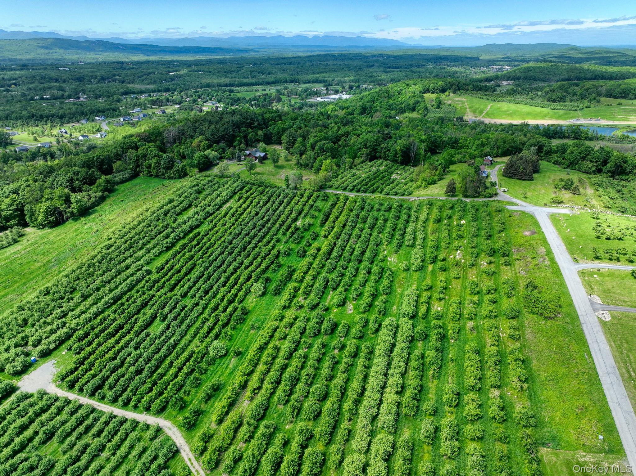 #14 photo, 75 Palazzo Lane, Highland , NY 12528