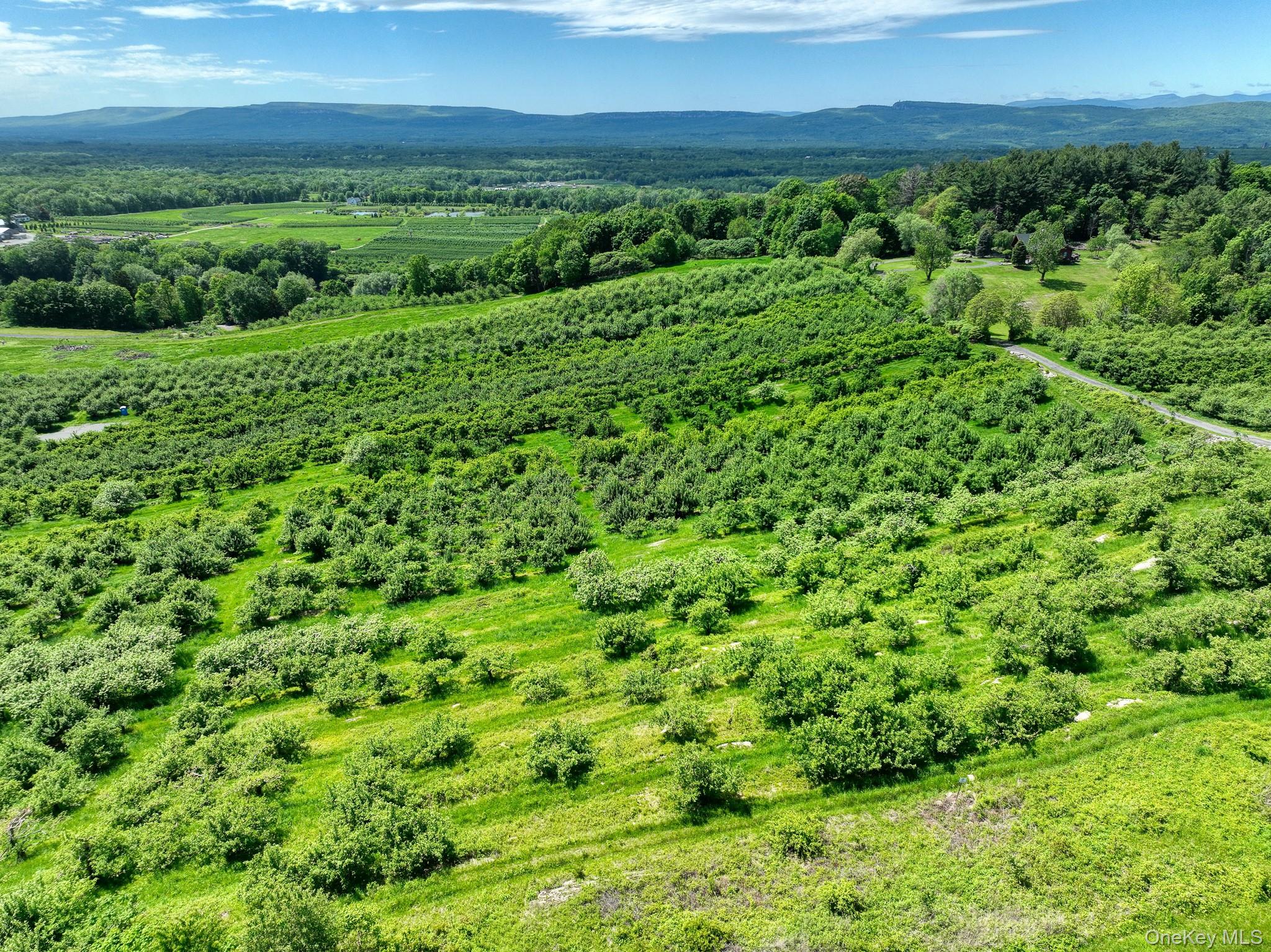 #18 photo, 75 Palazzo Lane, Highland , NY 12528