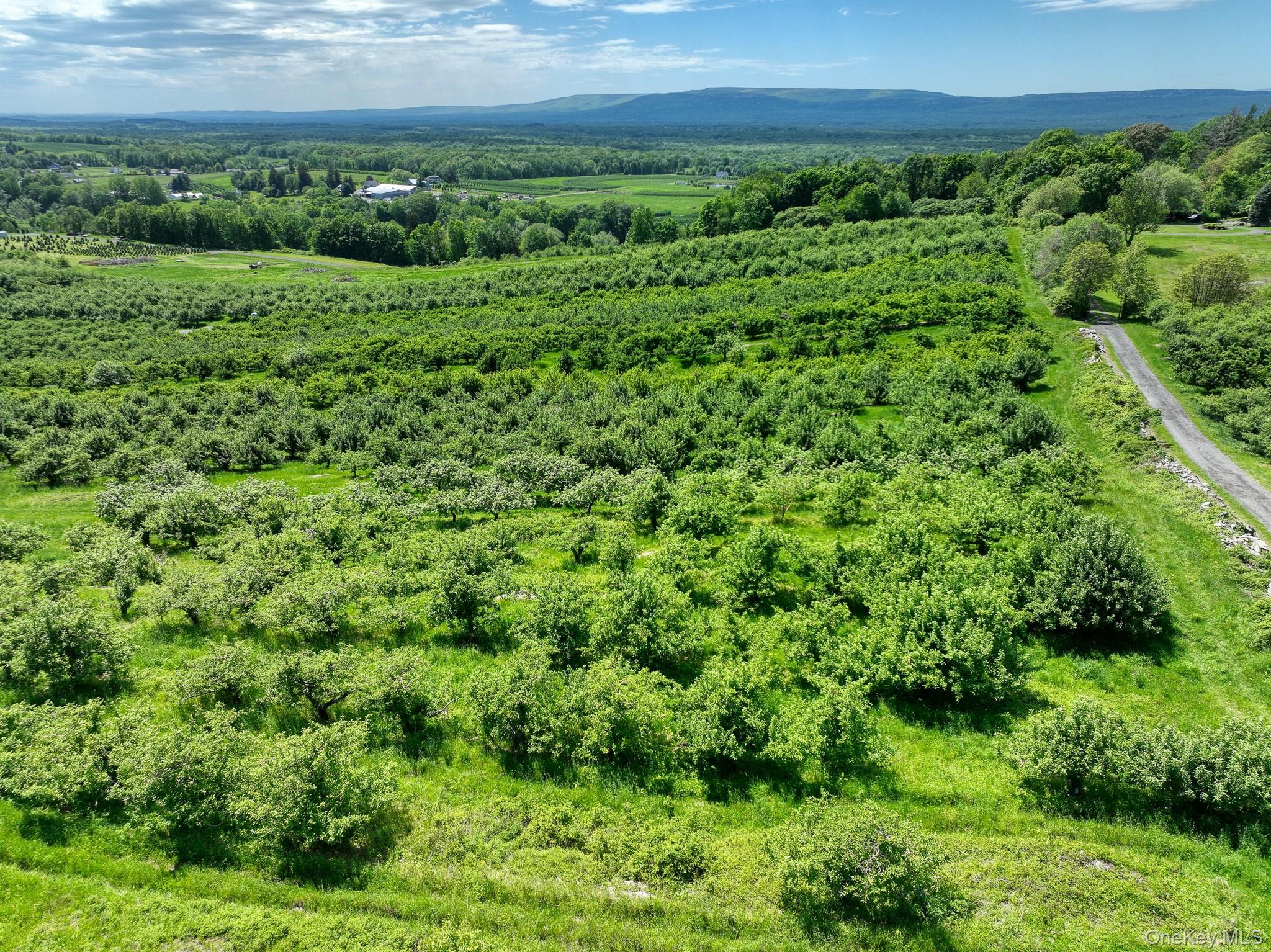 #19 photo, 75 Palazzo Lane, Highland , NY 12528