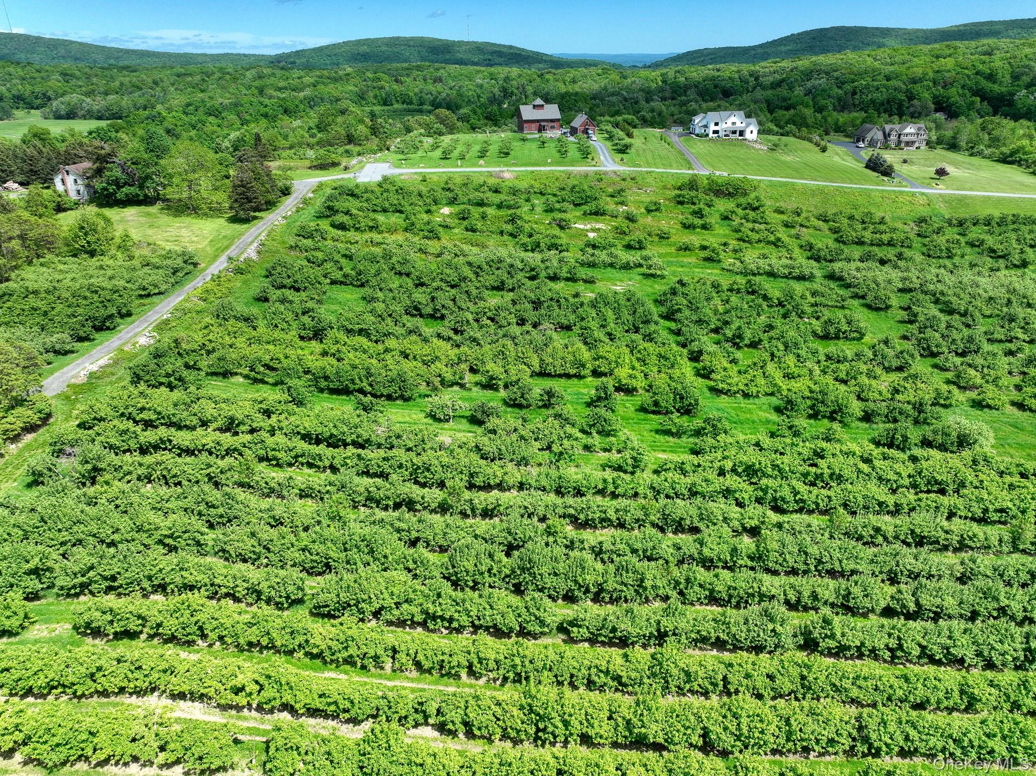 #3 photo, 75 Palazzo Lane, Highland , NY 12528