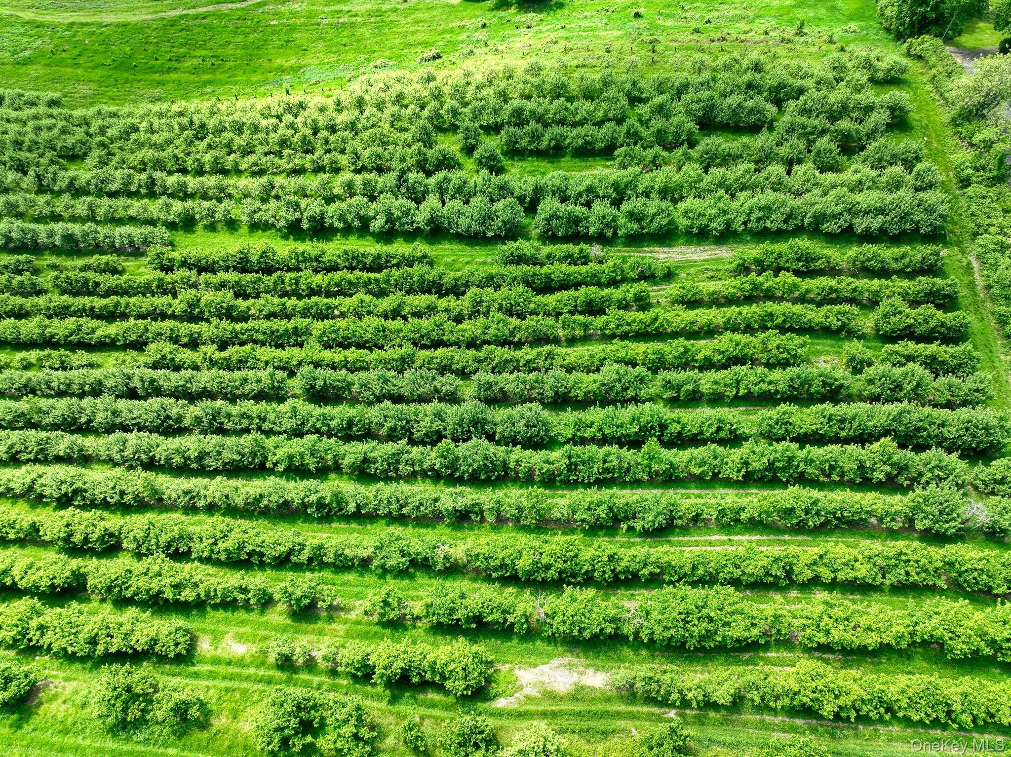 #4 photo, 75 Palazzo Lane, Highland , NY 12528