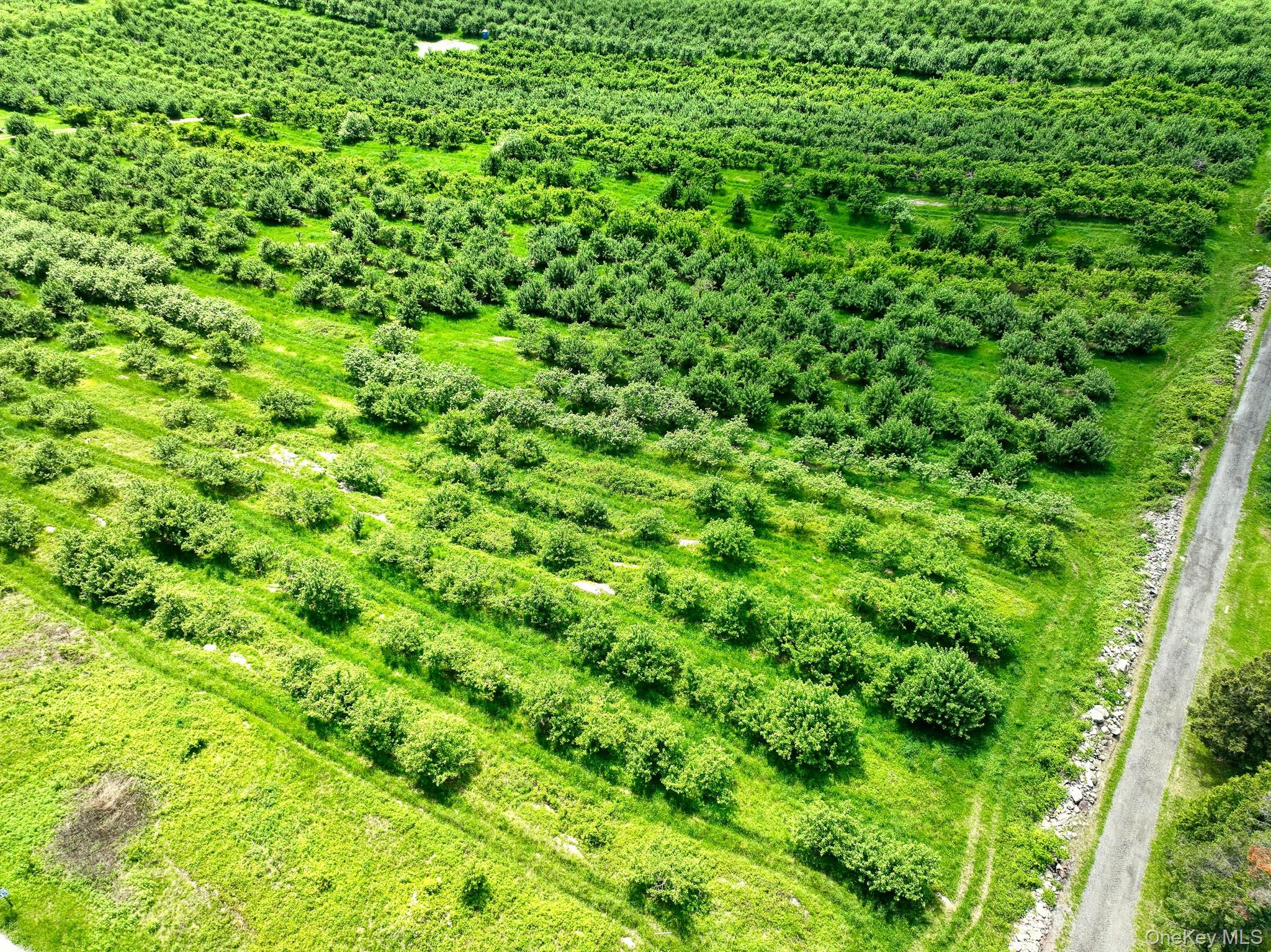 #5 photo, 75 Palazzo Lane, Highland , NY 12528