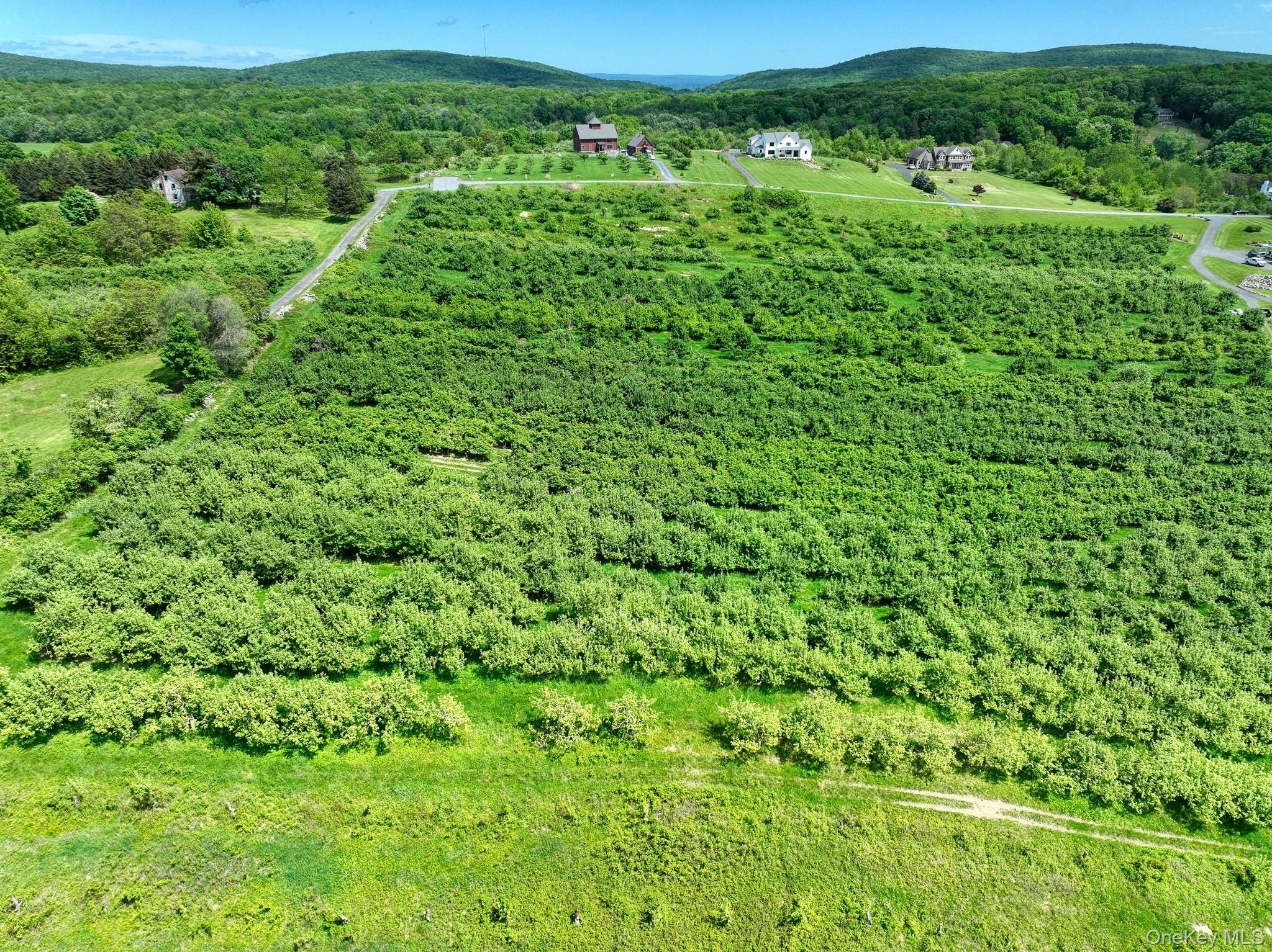 #6 photo, 75 Palazzo Lane, Highland , NY 12528