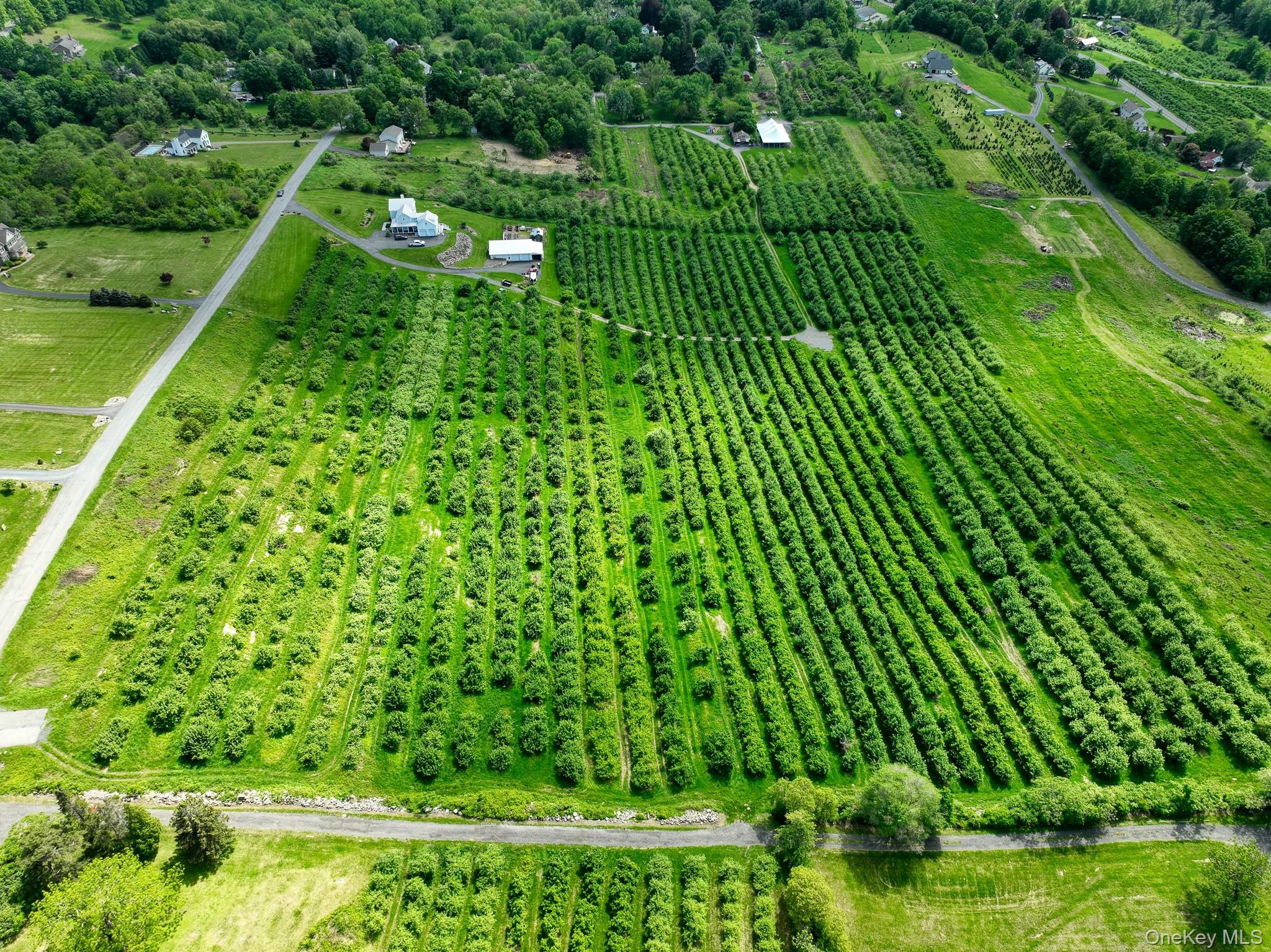 #7 photo, 75 Palazzo Lane, Highland , NY 12528