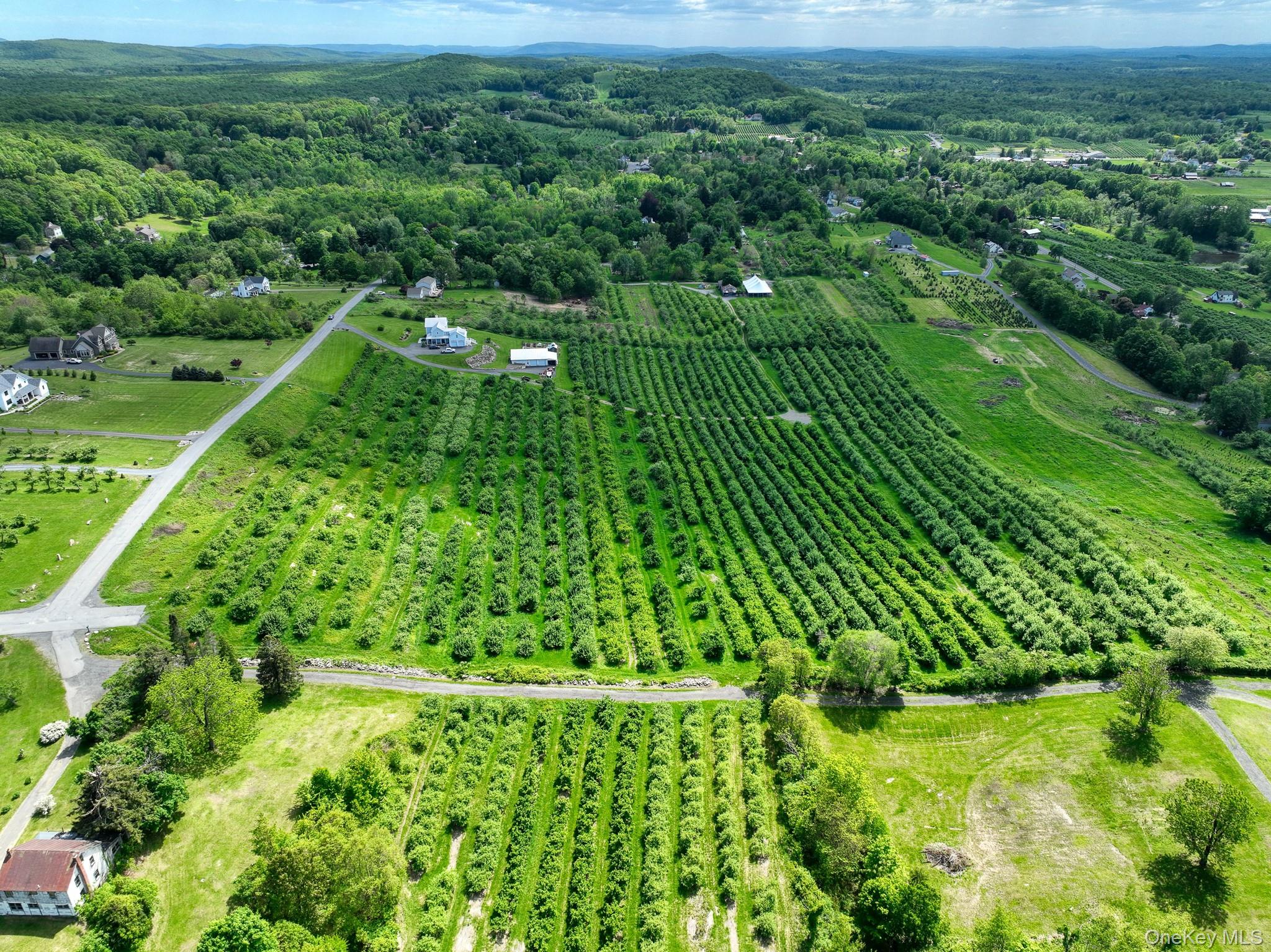 #8 photo, 75 Palazzo Lane, Highland , NY 12528