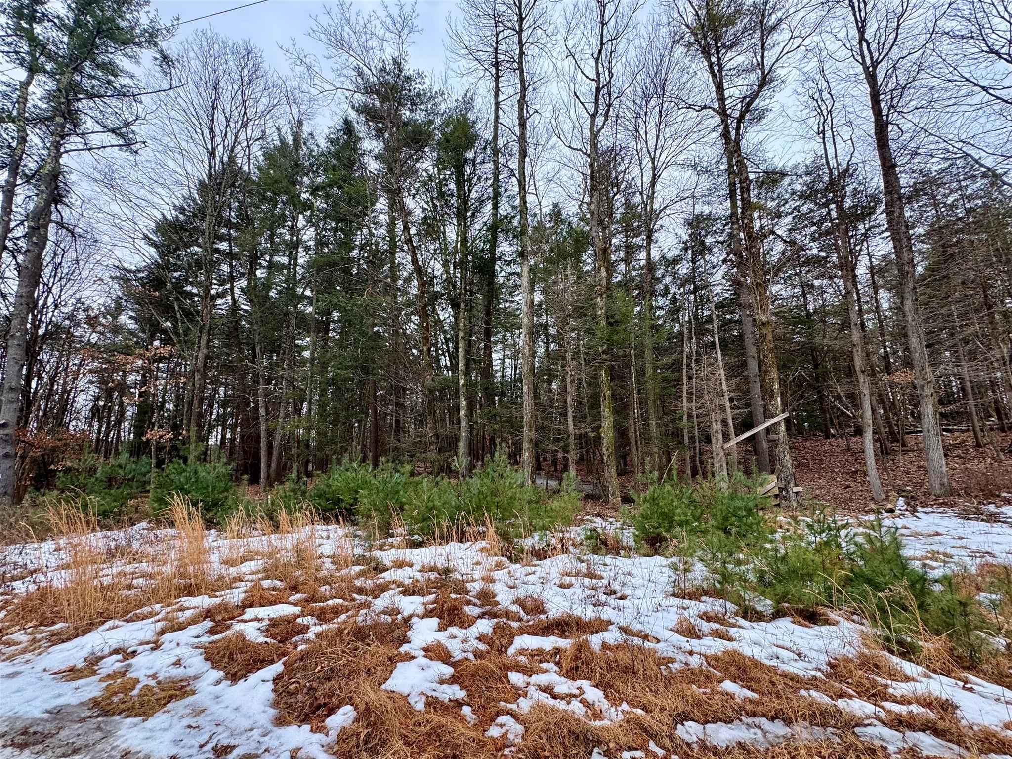 #4 photo, TBD Linderman Ave, Kingston , NY 