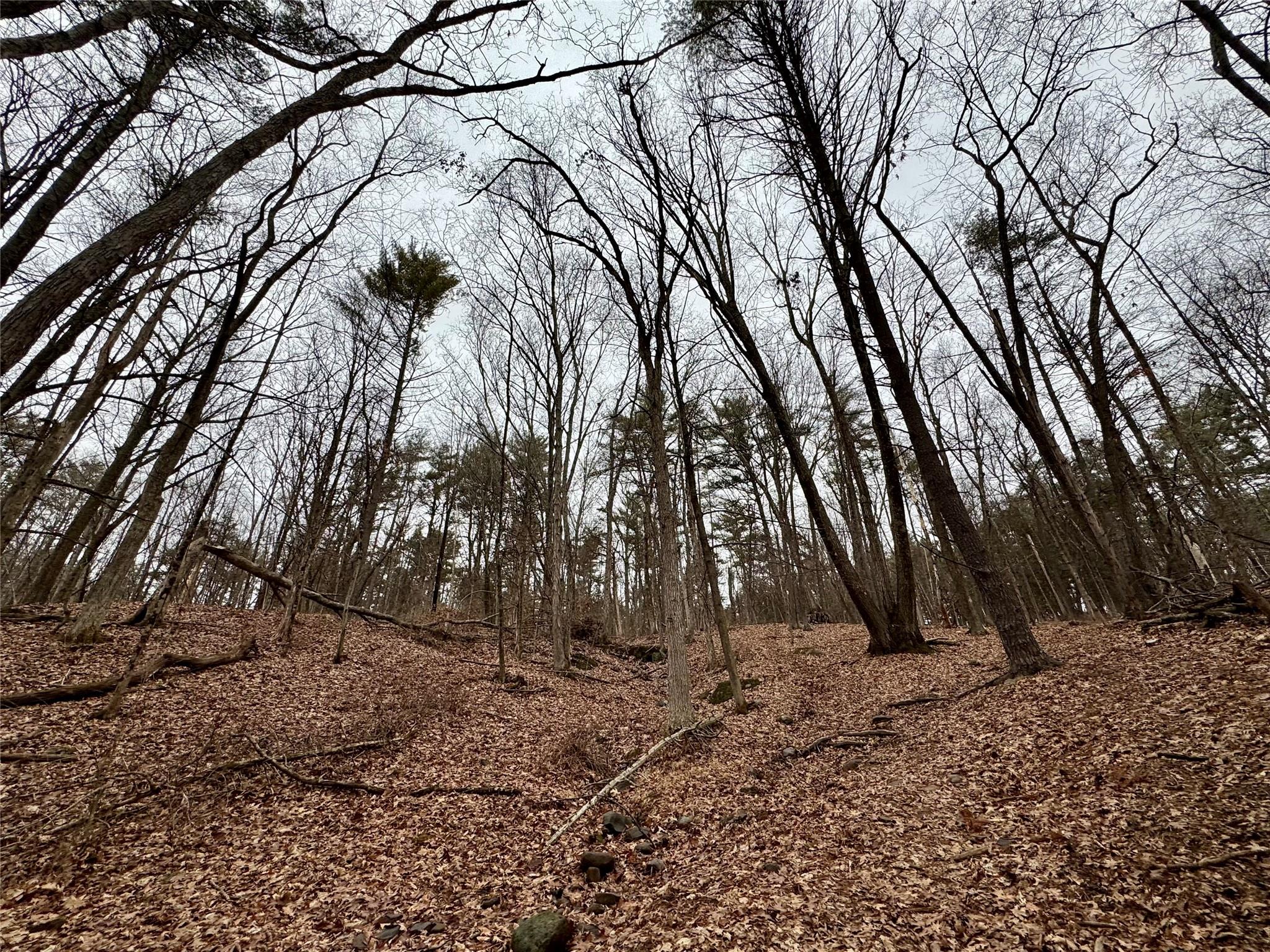 #5 photo, TBD Linderman Ave, Kingston , NY 