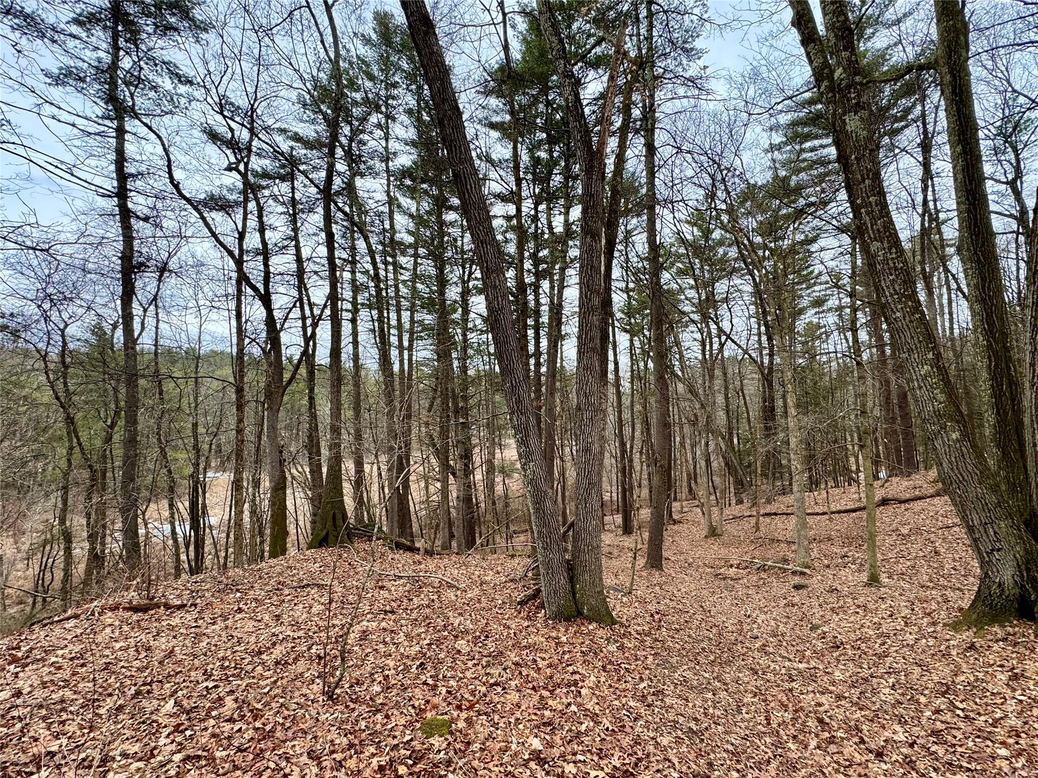 #6 photo, TBD Linderman Ave, Kingston , NY 