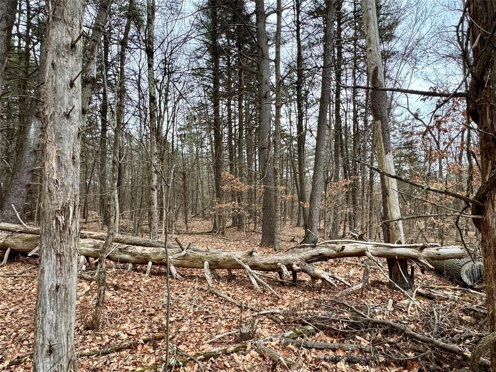 #7 photo, TBD Linderman Ave, Kingston , NY 