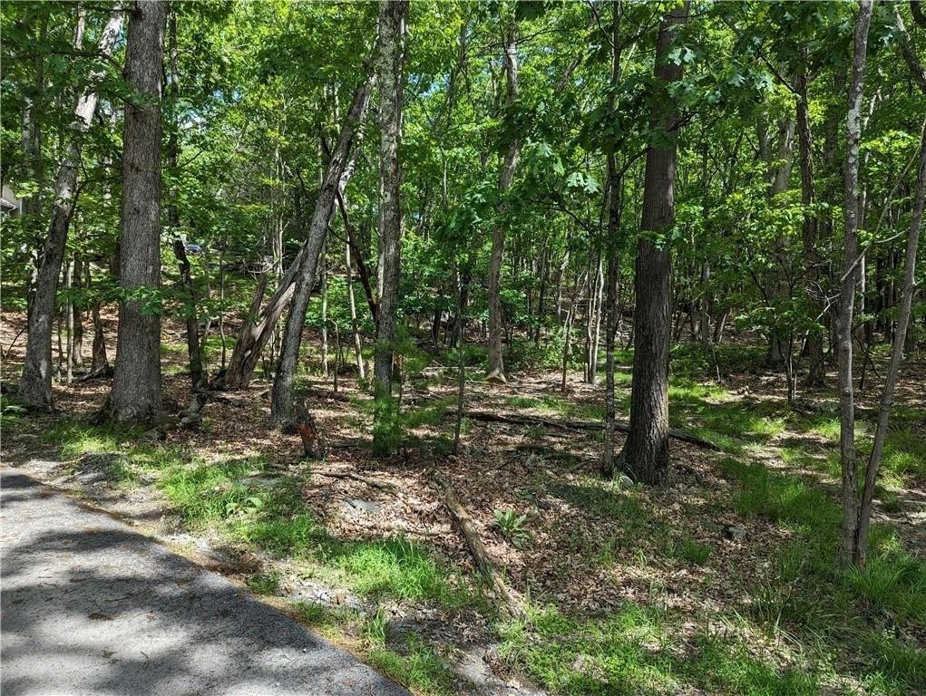 #2 photo, Canal Road, Wurtsboro , NY 12790