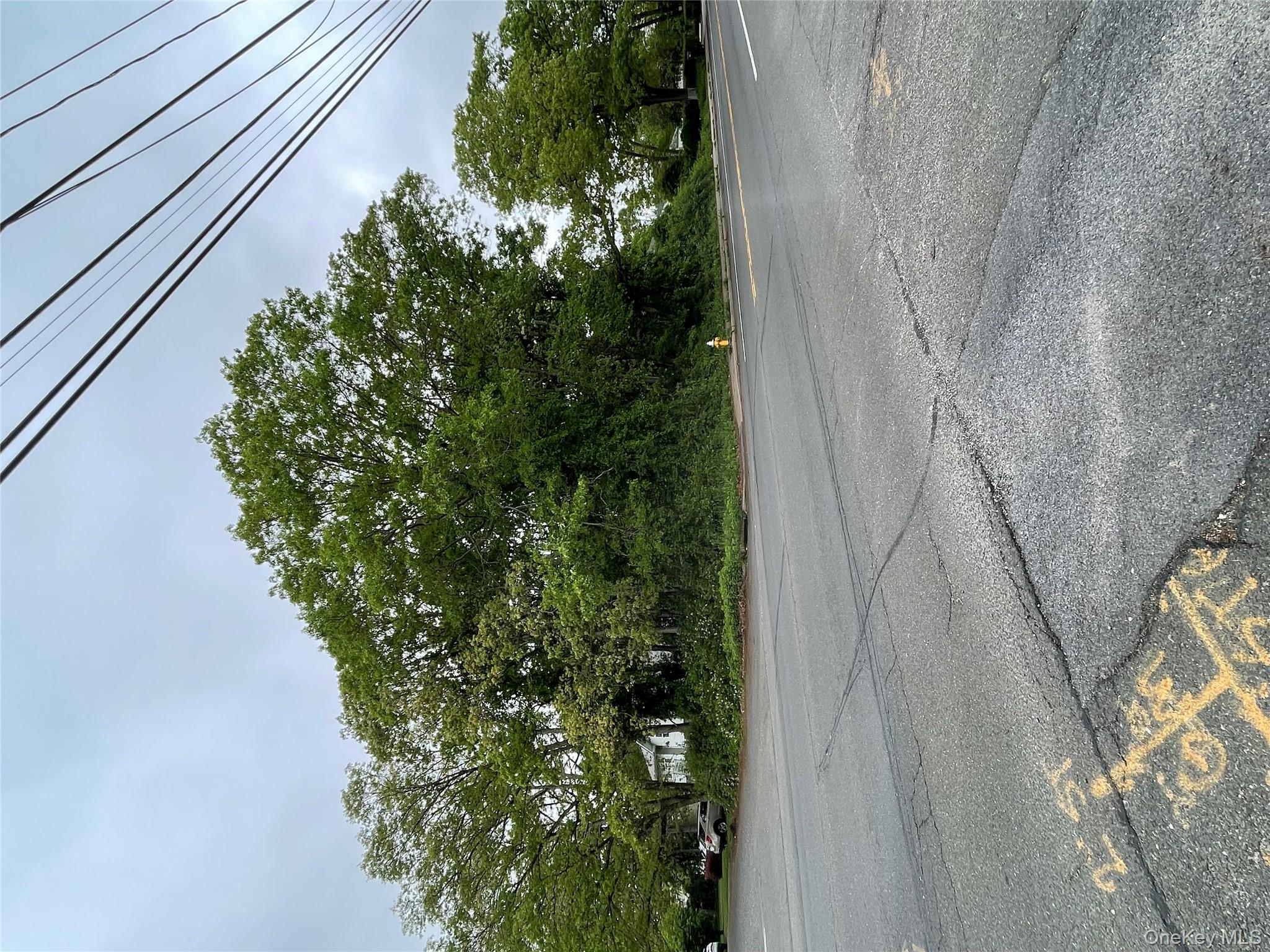 #2 photo, 91 W Plum Street, サフォーク郡 Brentwood , NY 11717