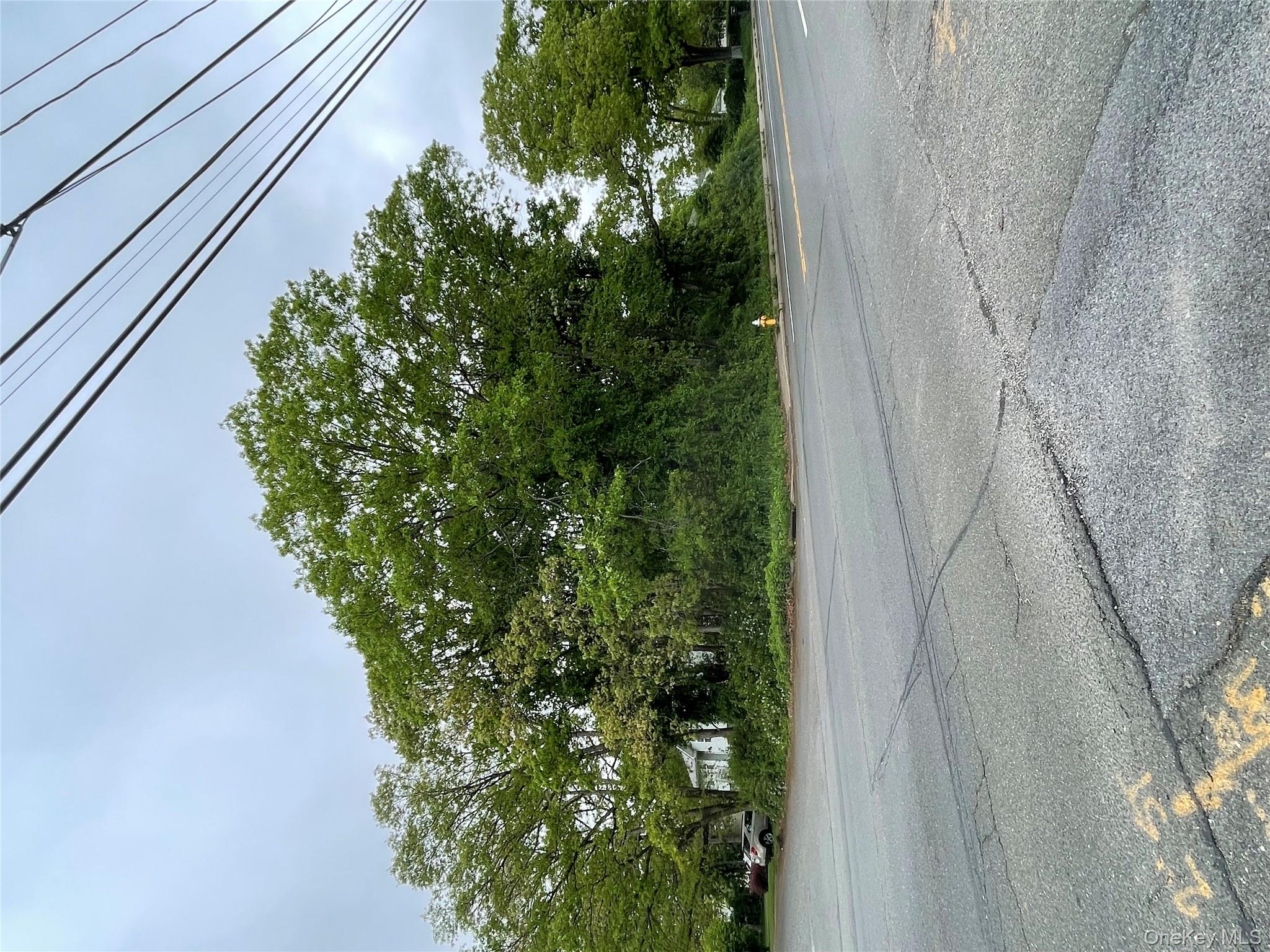 #3 photo, 91 W Plum Street, サフォーク郡 Brentwood , NY 11717