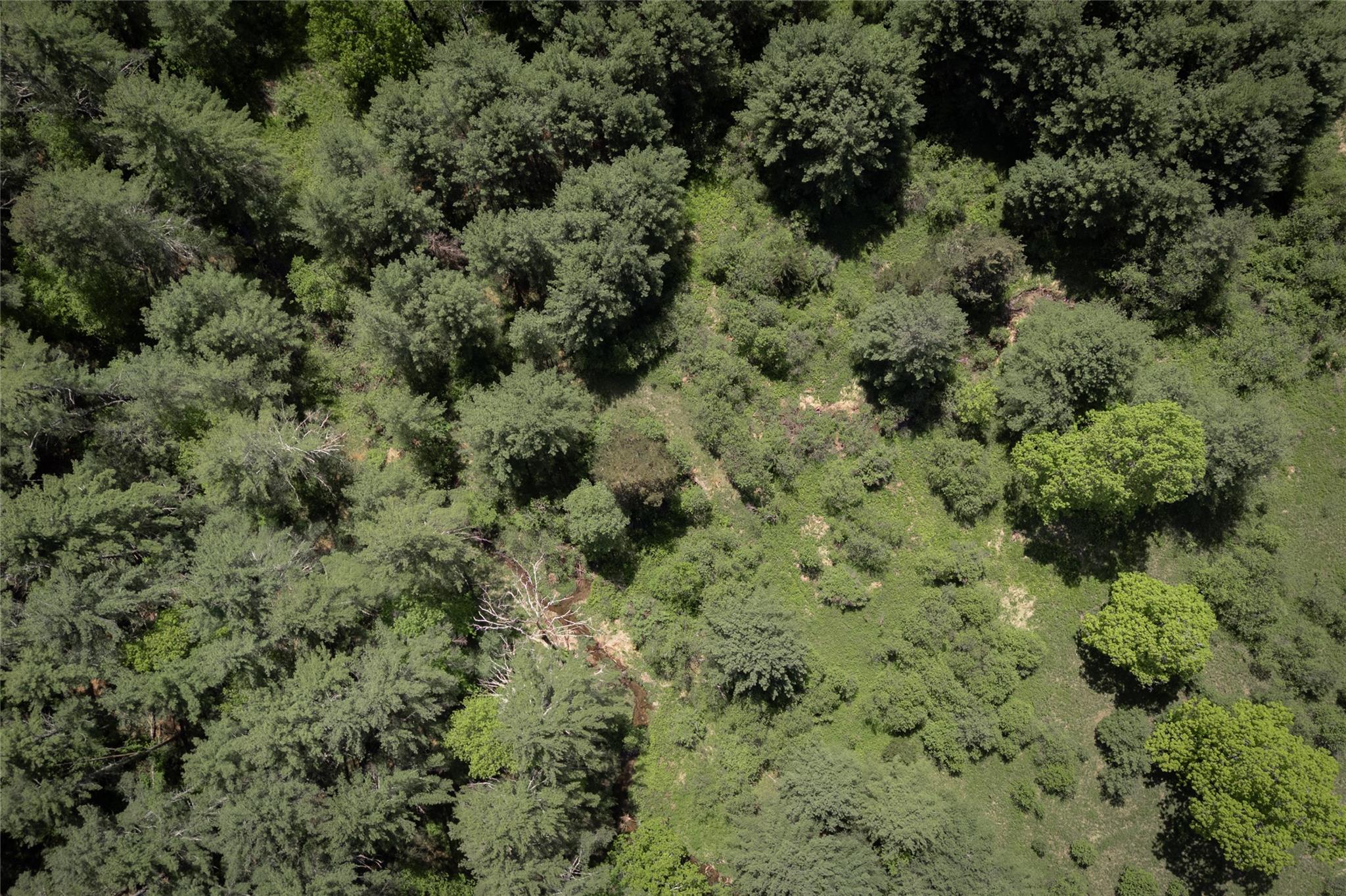 #10 photo, 300 Mt Laurel Road, Kerhonkson , NY 12446