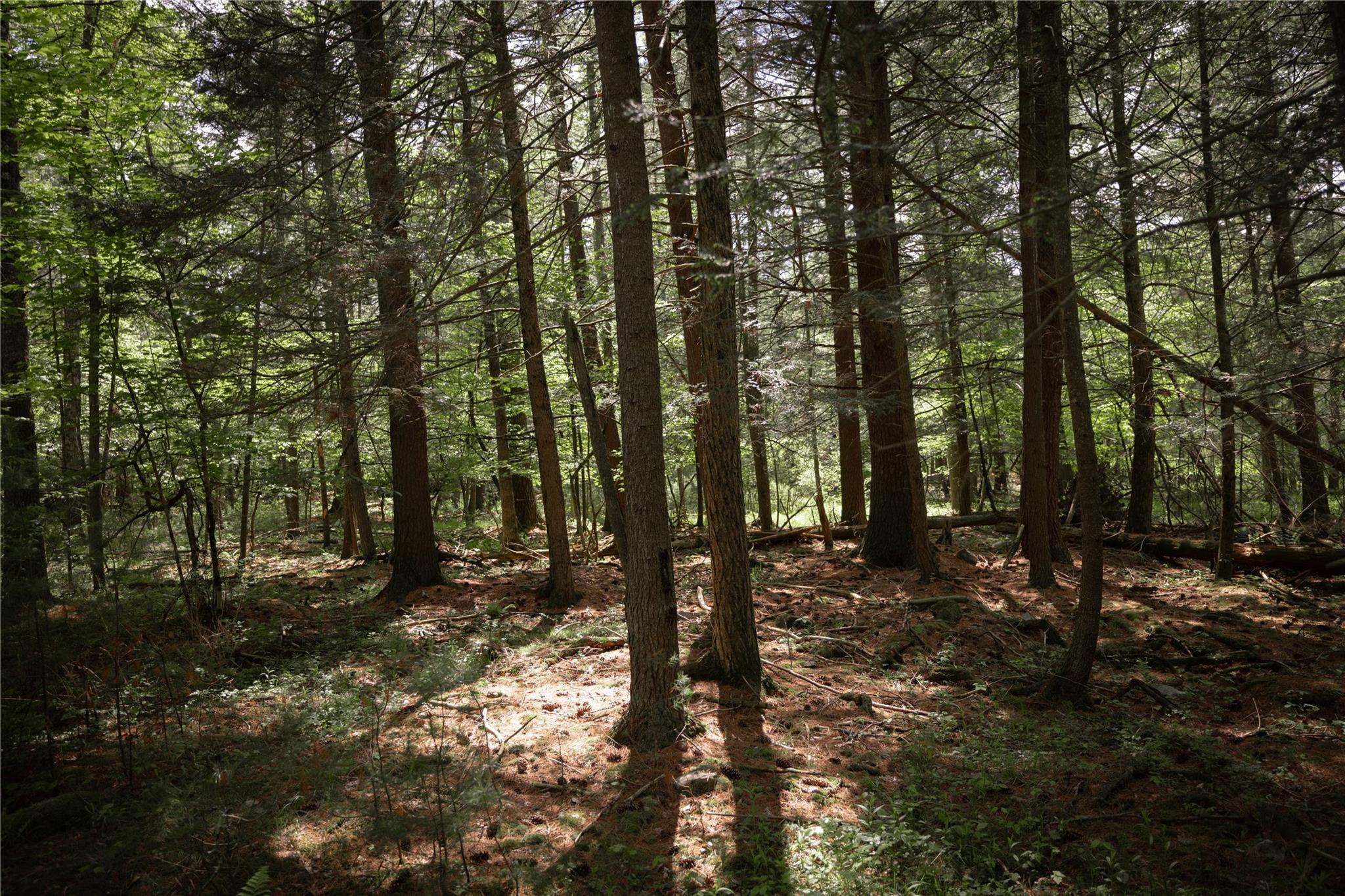 #4 photo, 300 Mt Laurel Road, Kerhonkson , NY 12446