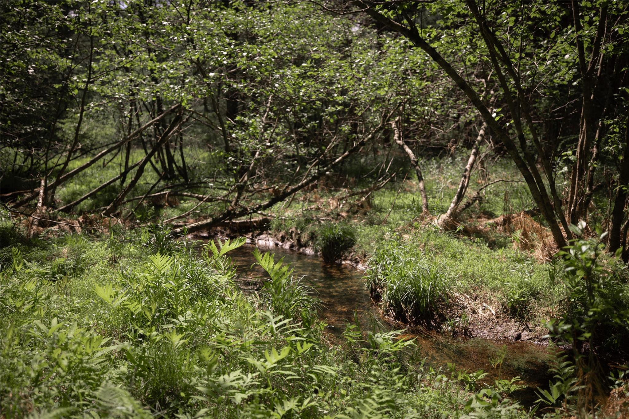 #7 photo, 300 Mt Laurel Road, Kerhonkson , NY 12446