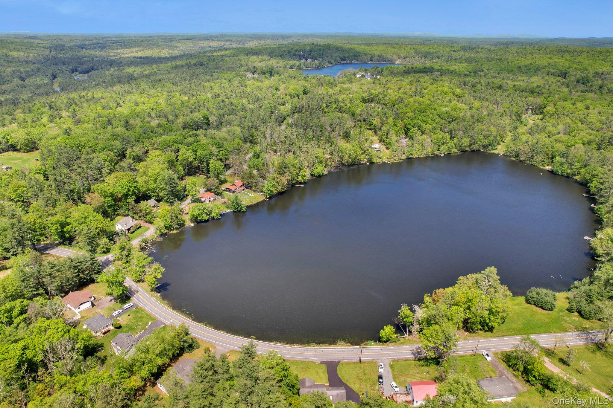 #4 photo, 229 Eldred Yulan Road, Yulan , NY 12792