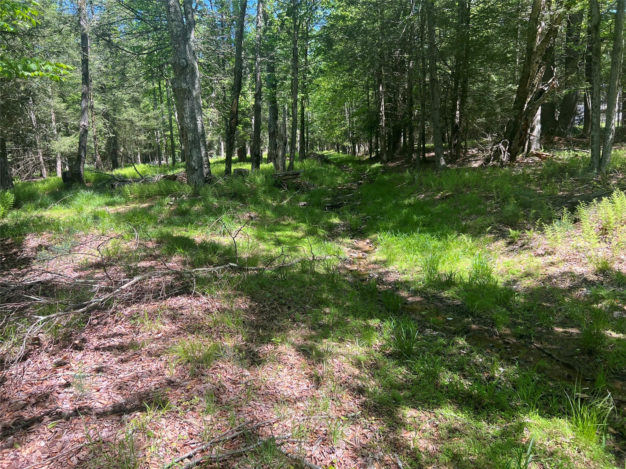#1 photo, 95 Old Tacy Road, Swan Lake , NY 12783