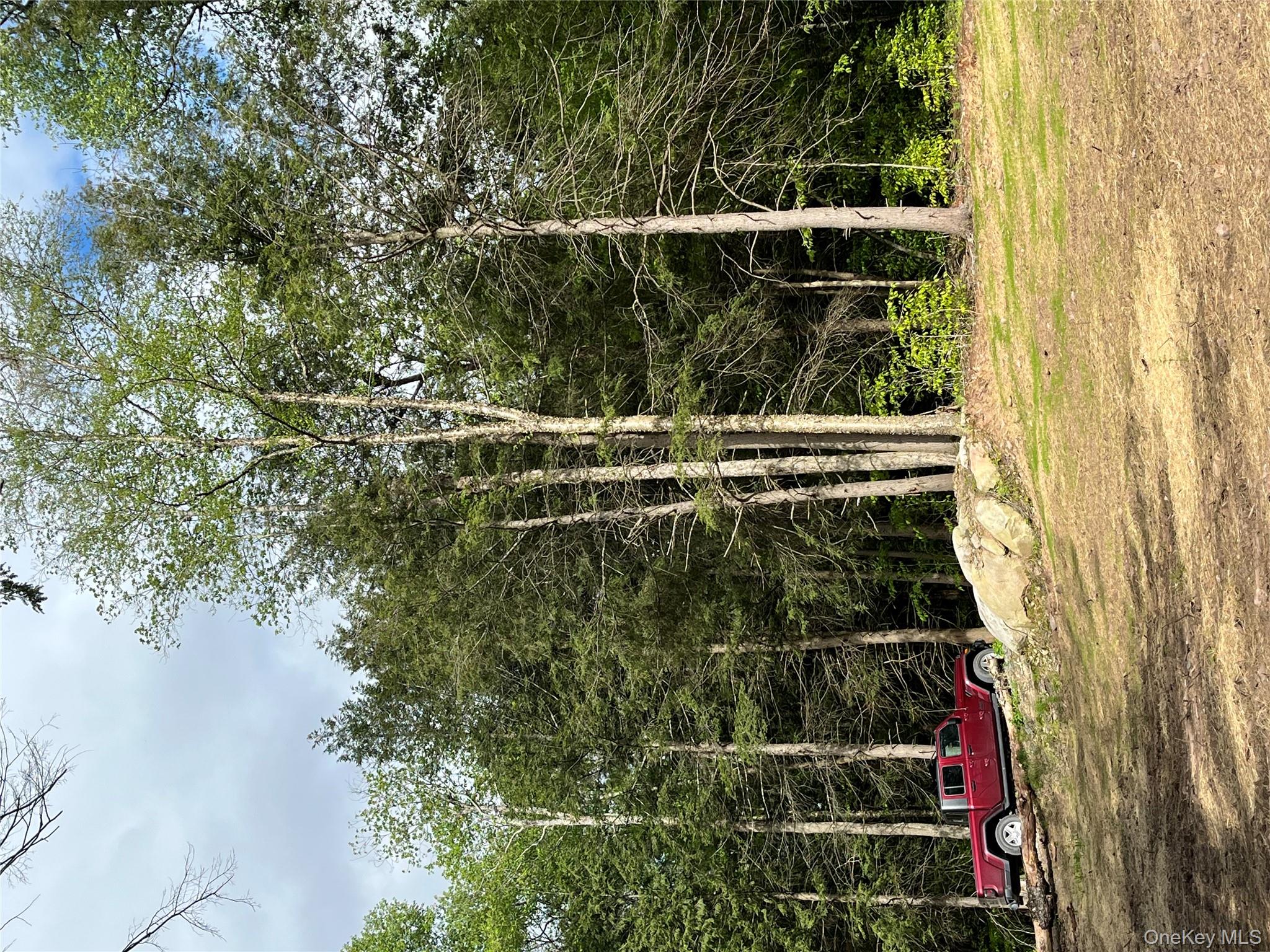 #10 photo, 47 Eagles Ridge Way, Parksville , NY 12768