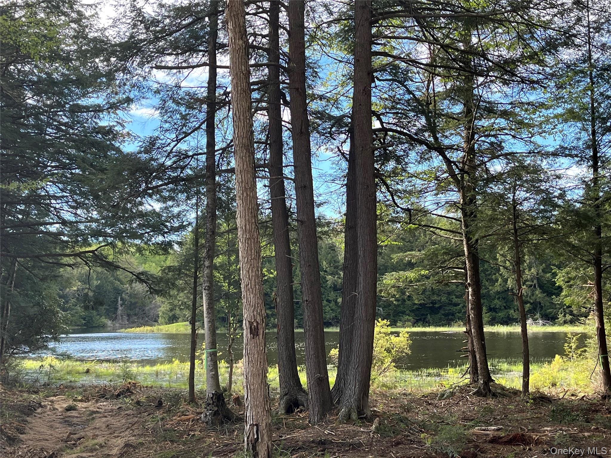 #11 photo, 47 Eagles Ridge Way, Parksville , NY 12768