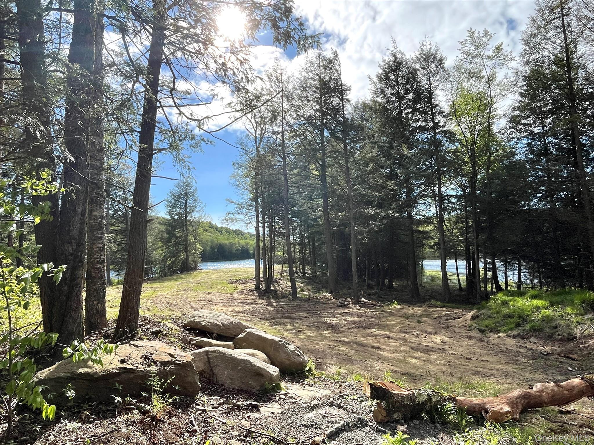 #12 photo, 47 Eagles Ridge Way, Parksville , NY 12768