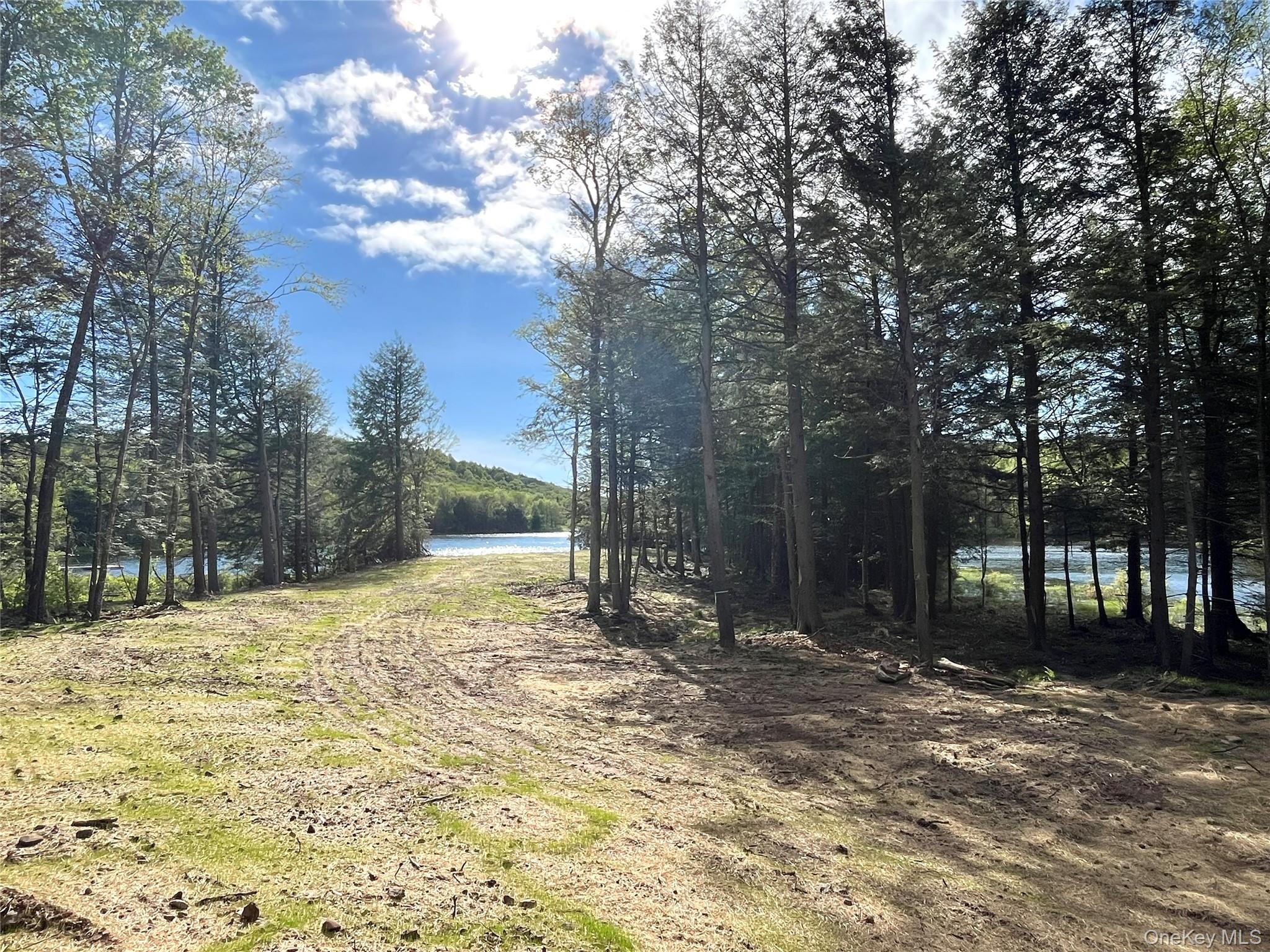 #13 photo, 47 Eagles Ridge Way, Parksville , NY 12768