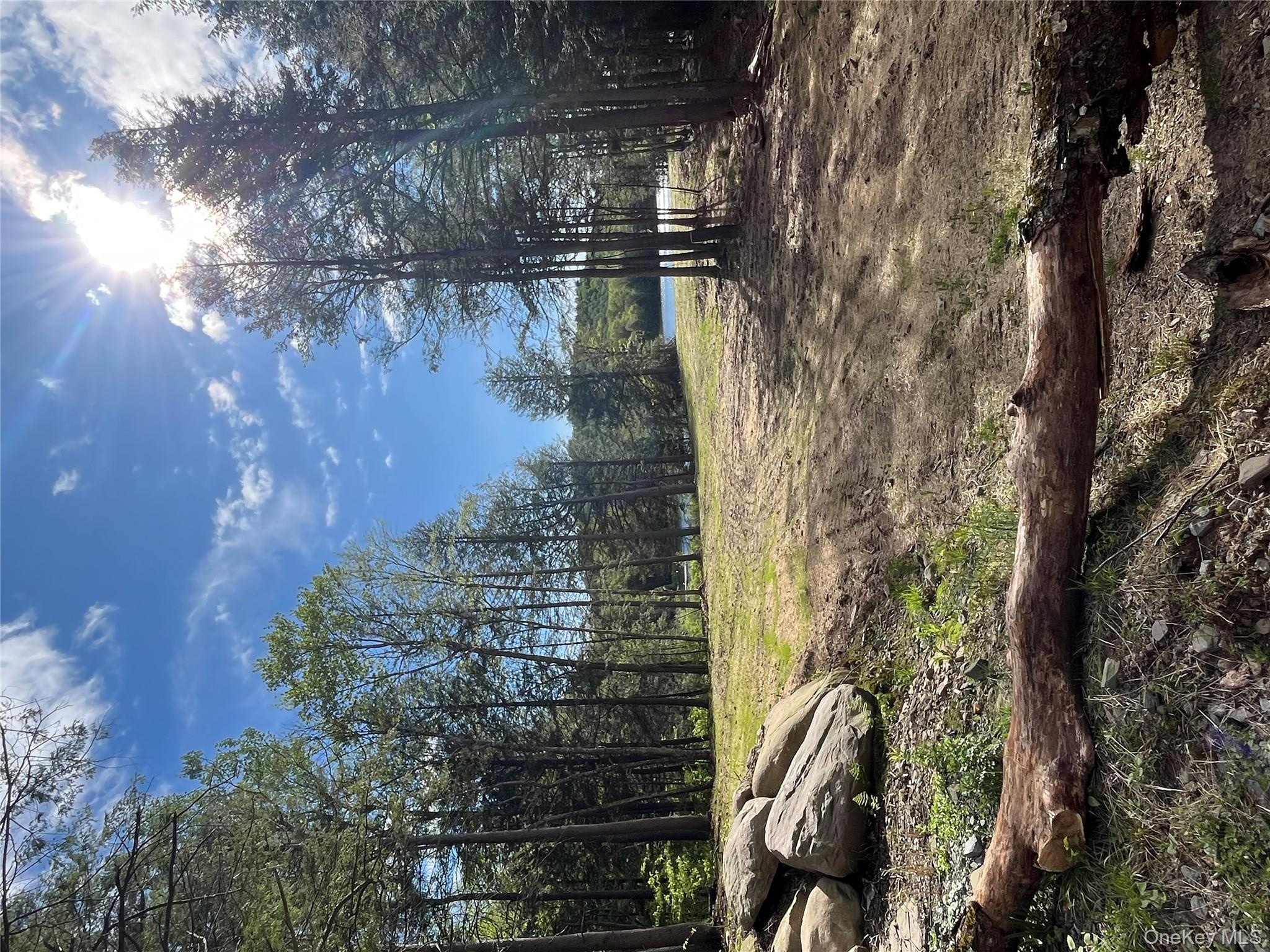 #15 photo, 47 Eagles Ridge Way, Parksville , NY 12768