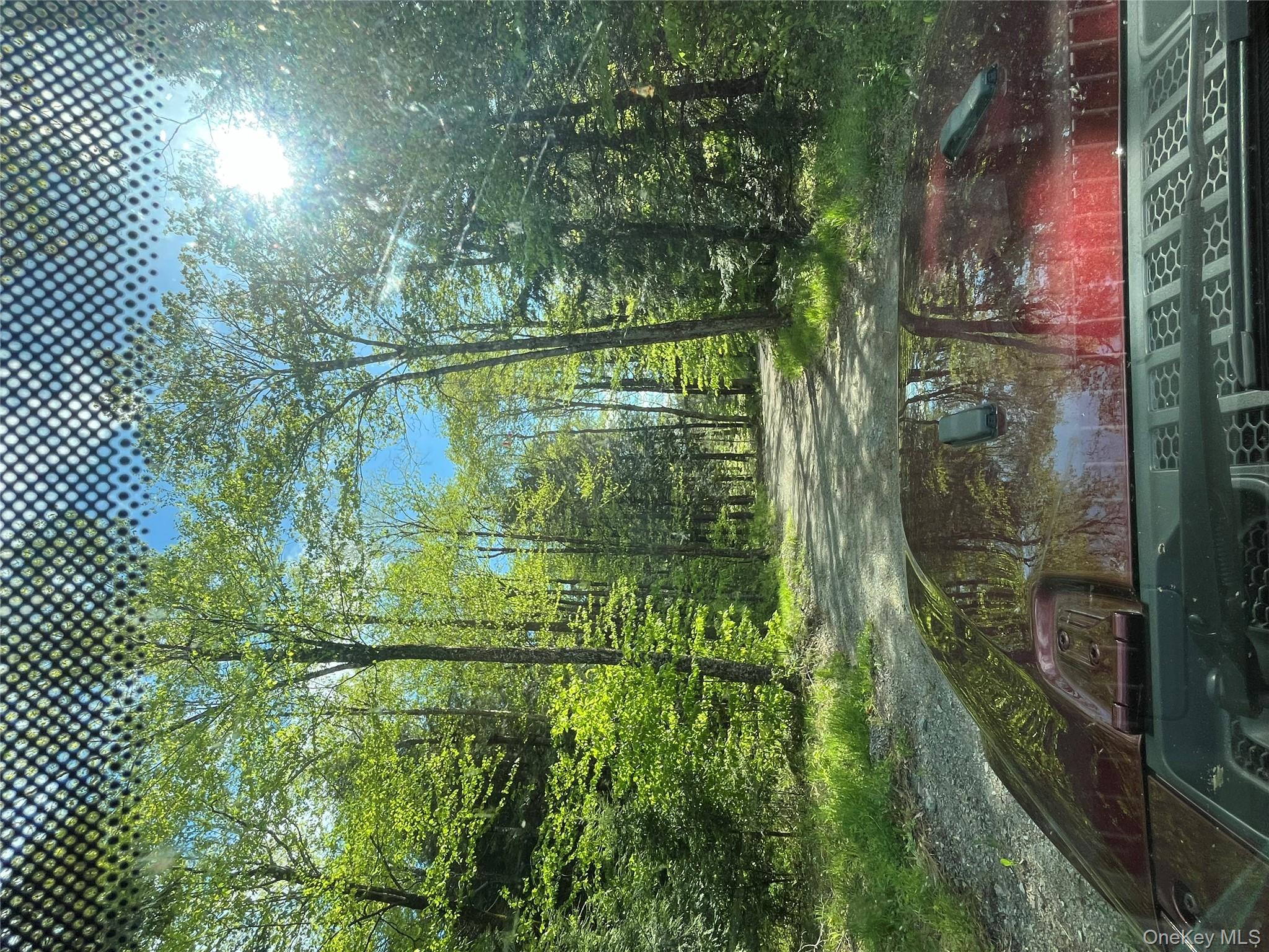 #17 photo, 47 Eagles Ridge Way, Parksville , NY 12768