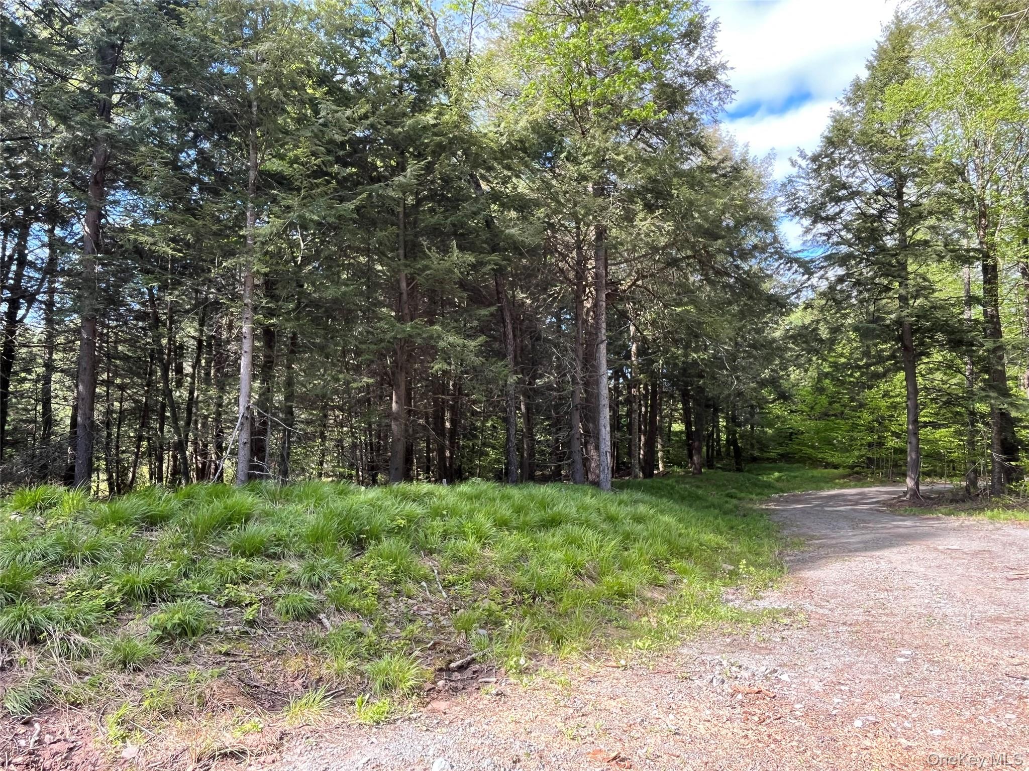 #18 photo, 47 Eagles Ridge Way, Parksville , NY 12768