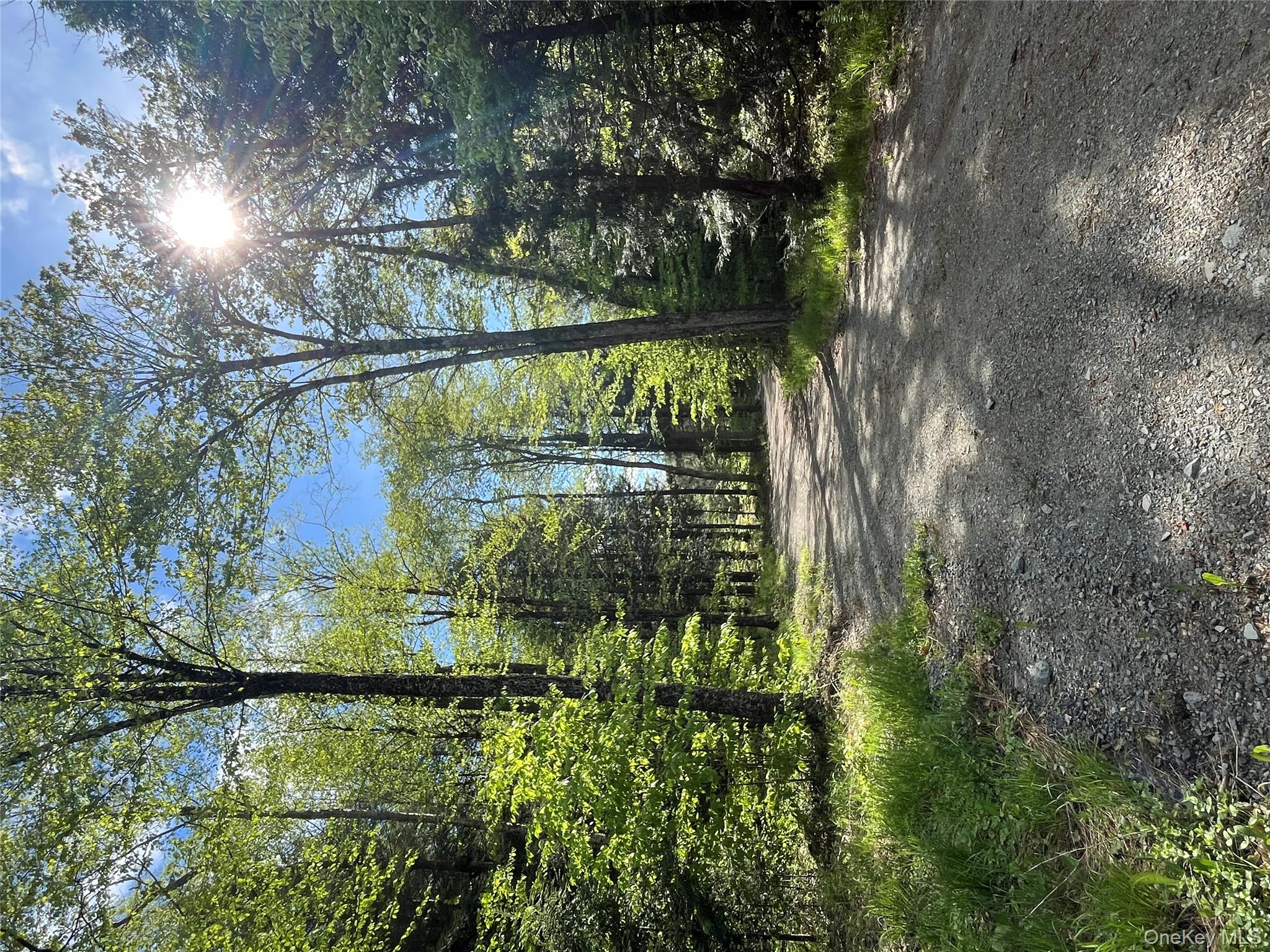 #19 photo, 47 Eagles Ridge Way, Parksville , NY 12768