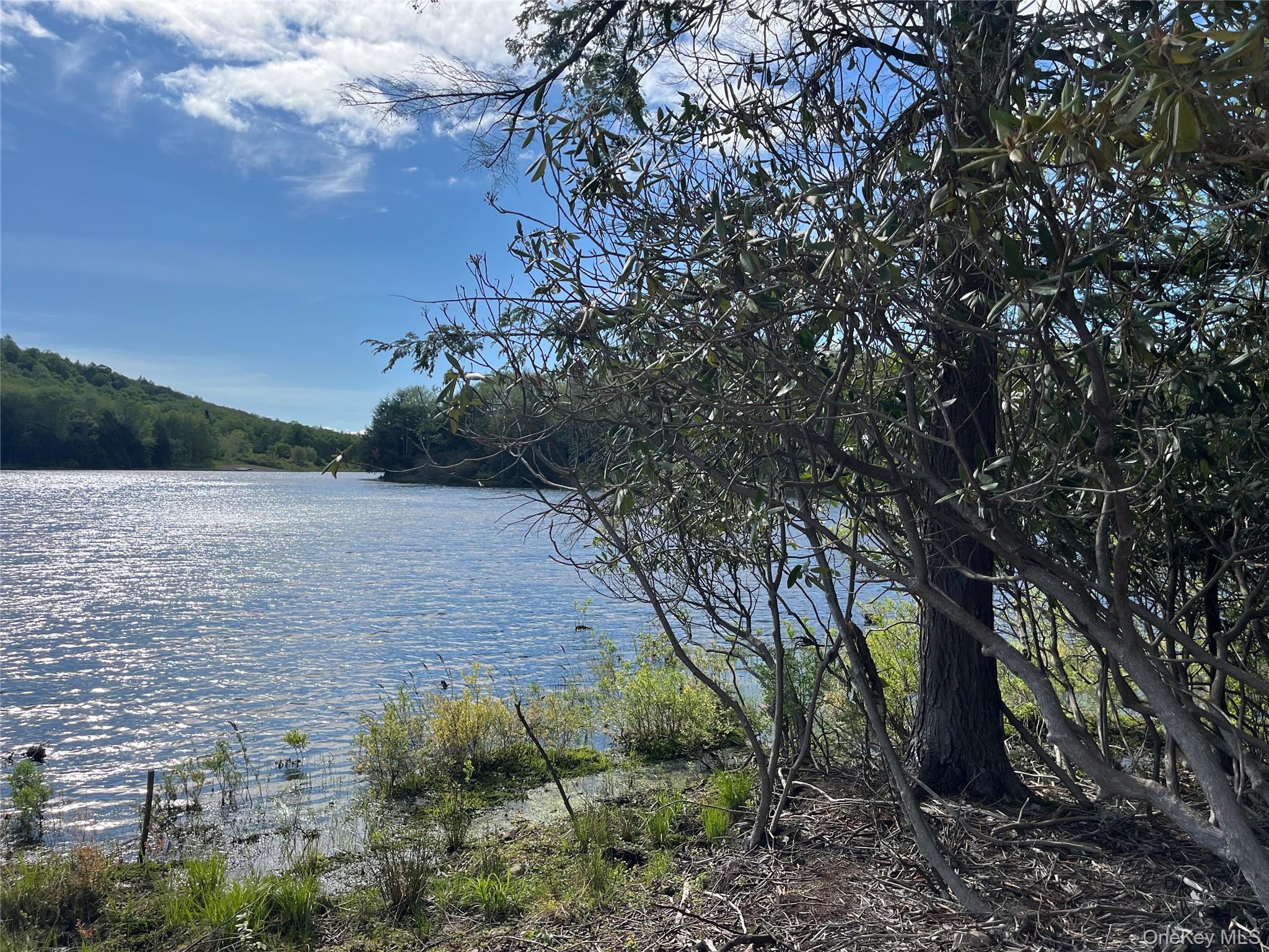 #2 photo, 47 Eagles Ridge Way, Parksville , NY 12768