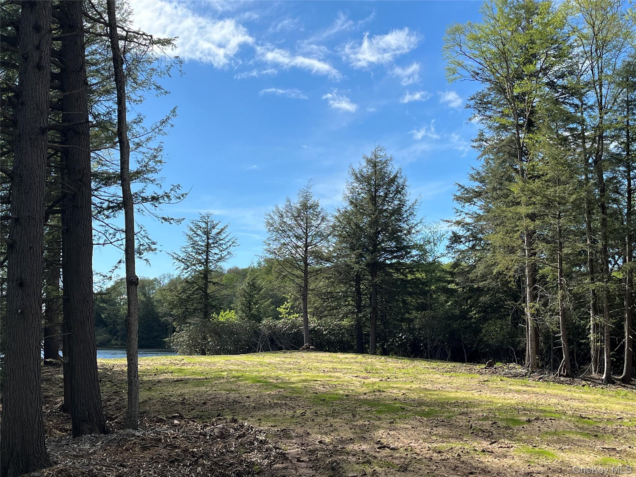 #20 photo, 47 Eagles Ridge Way, Parksville , NY 12768