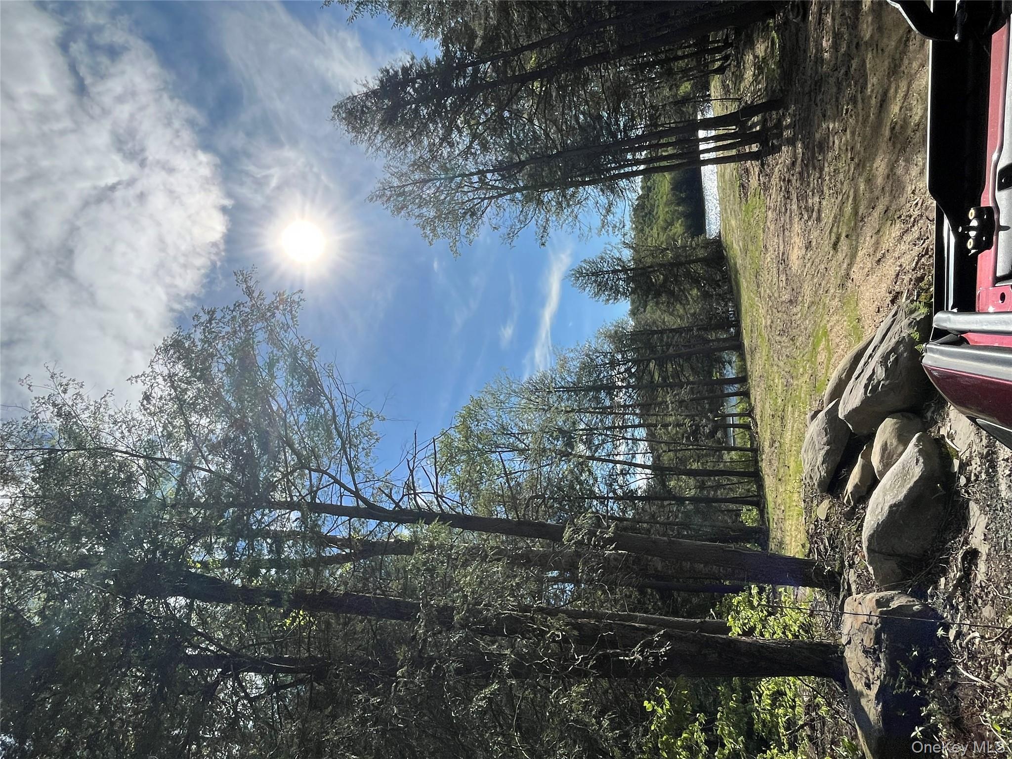 #3 photo, 47 Eagles Ridge Way, Parksville , NY 12768