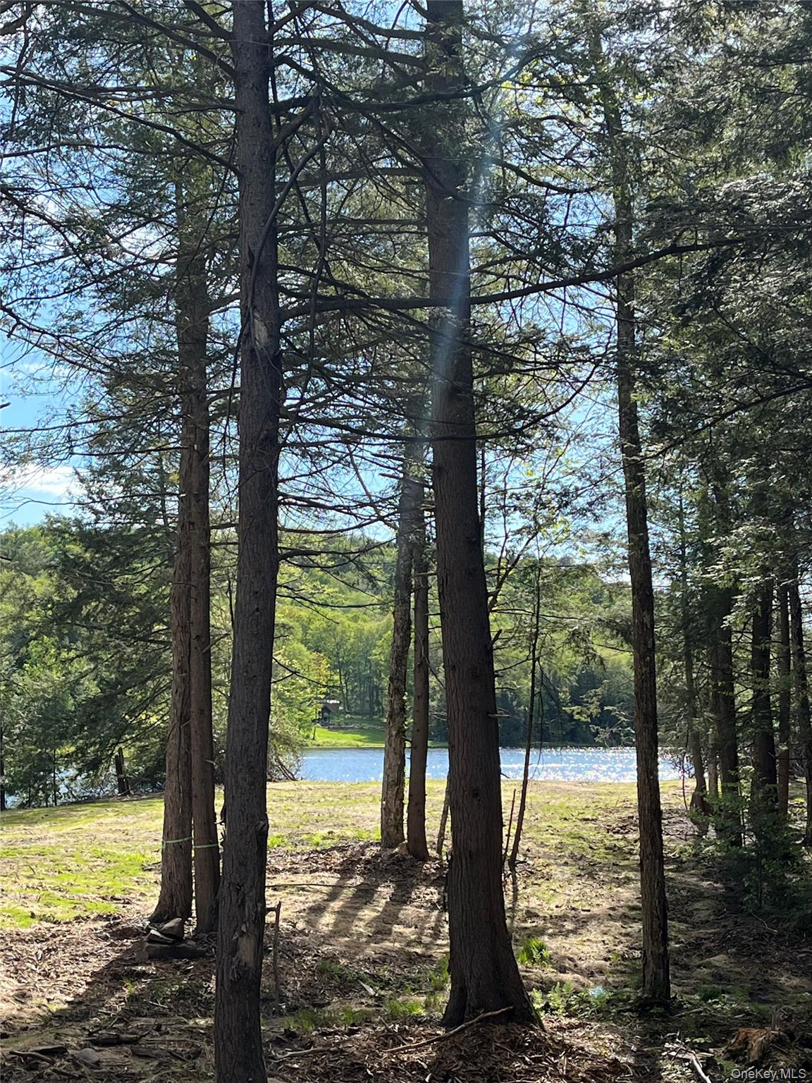 #4 photo, 47 Eagles Ridge Way, Parksville , NY 12768