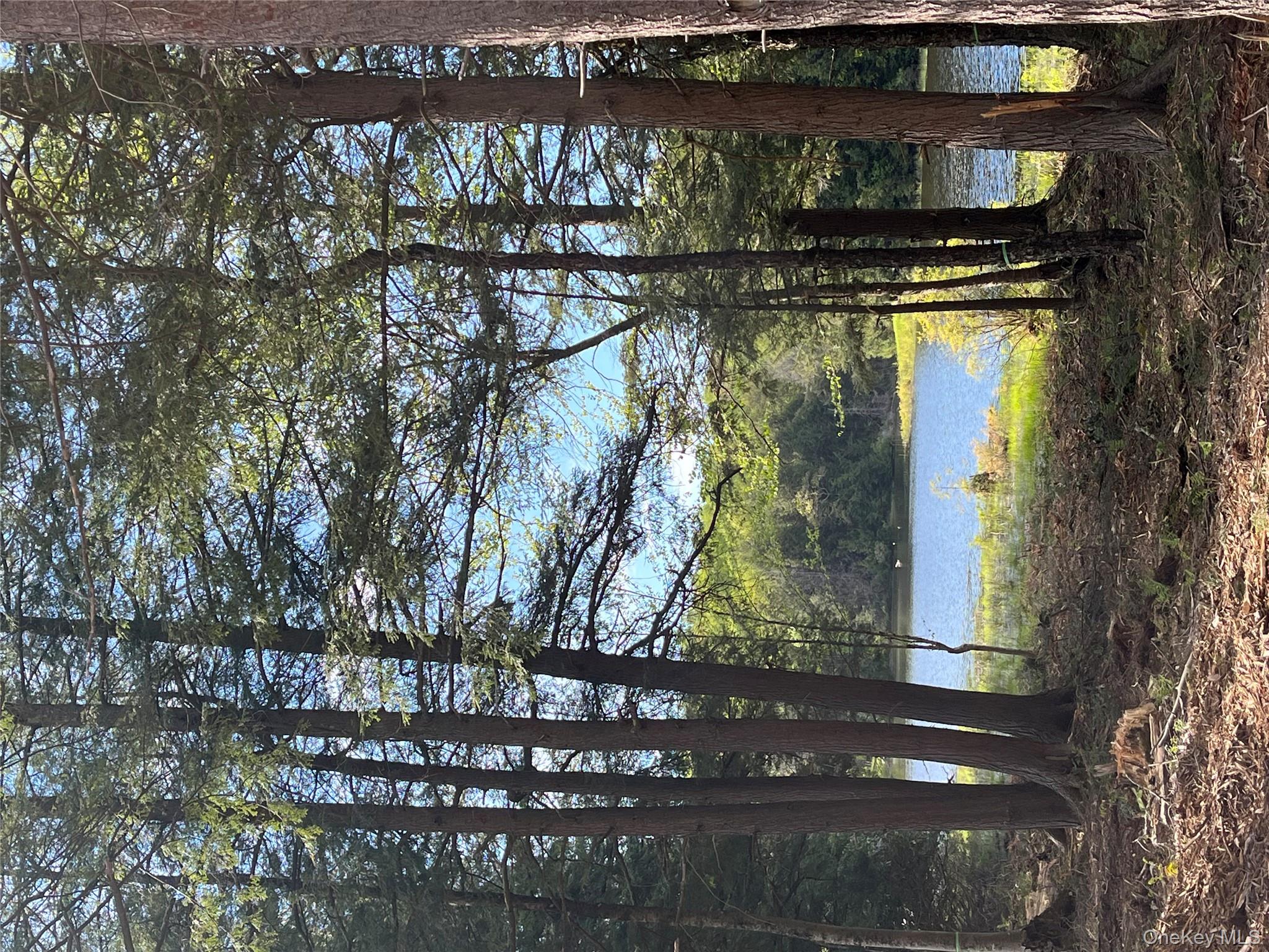 #5 photo, 47 Eagles Ridge Way, Parksville , NY 12768