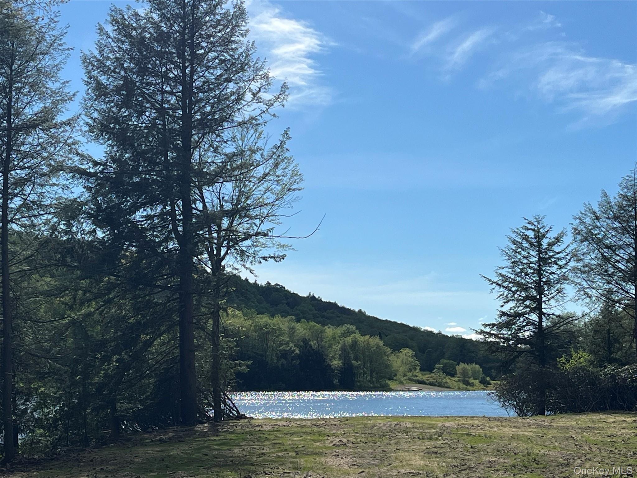 #6 photo, 47 Eagles Ridge Way, Parksville , NY 12768