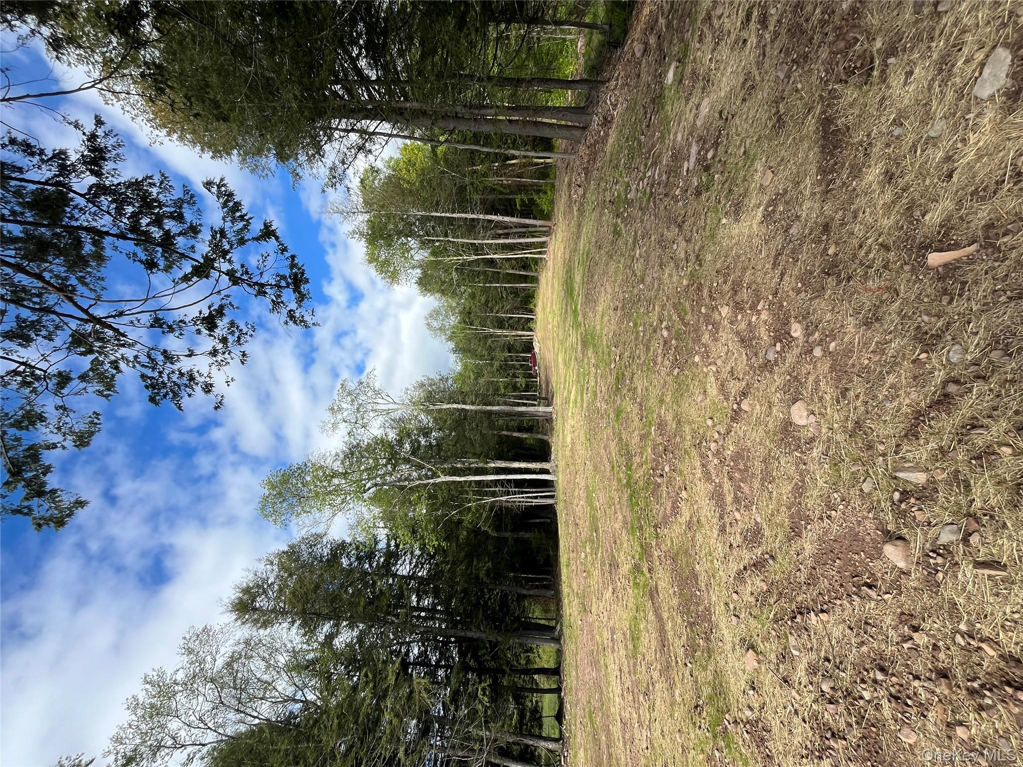 #7 photo, 47 Eagles Ridge Way, Parksville , NY 12768