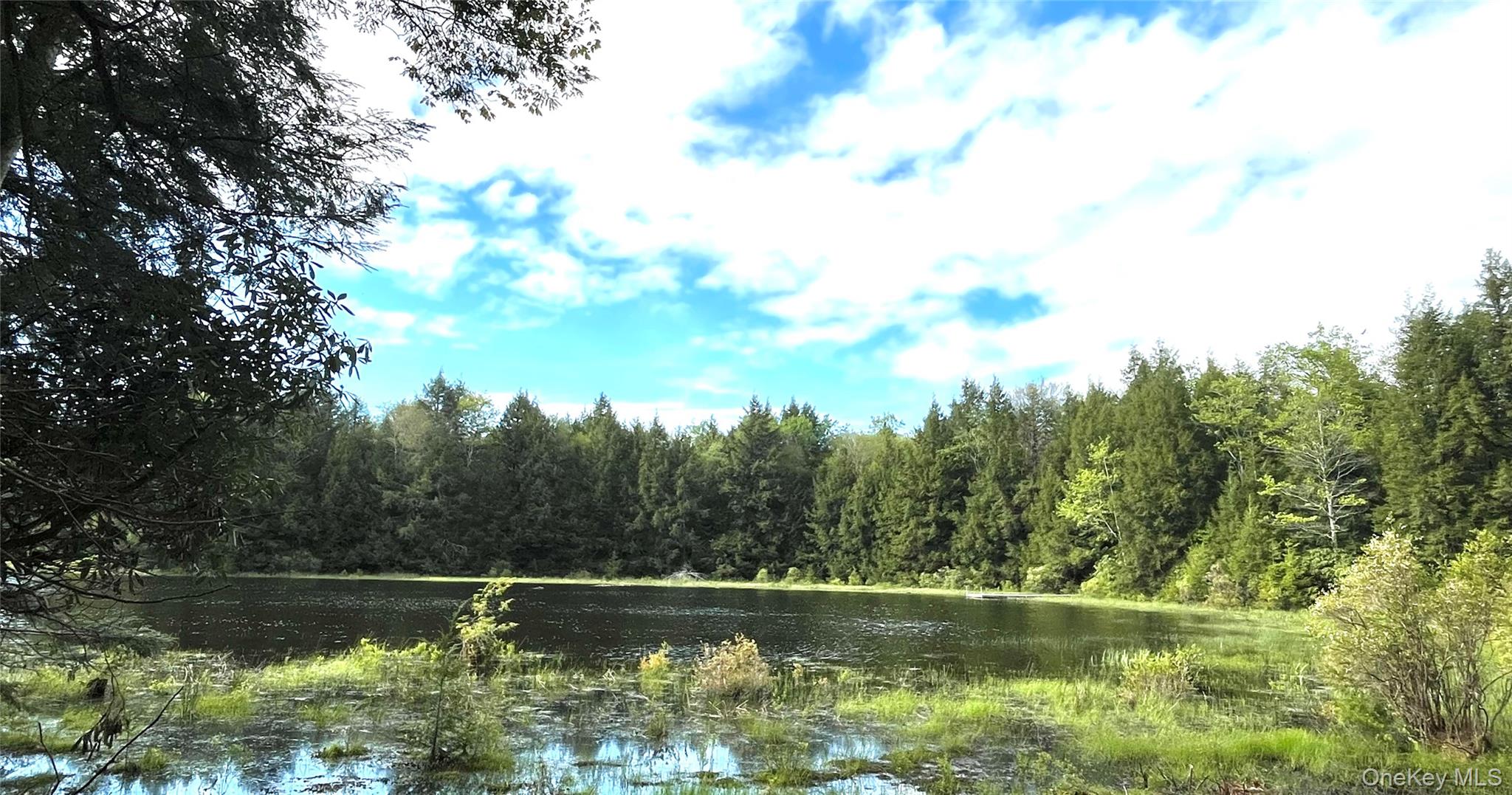 #8 photo, 47 Eagles Ridge Way, Parksville , NY 12768