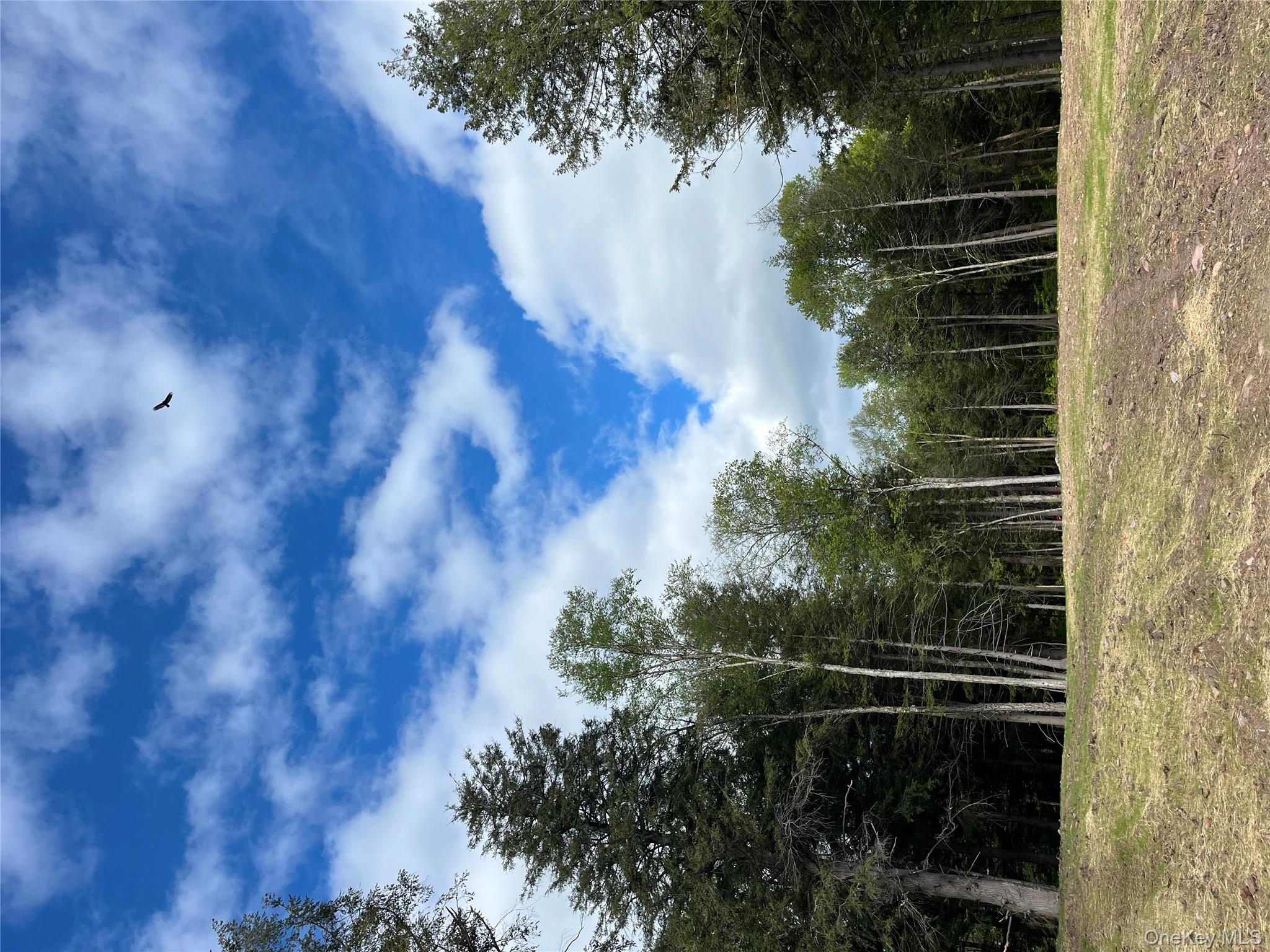 #9 photo, 47 Eagles Ridge Way, Parksville , NY 12768