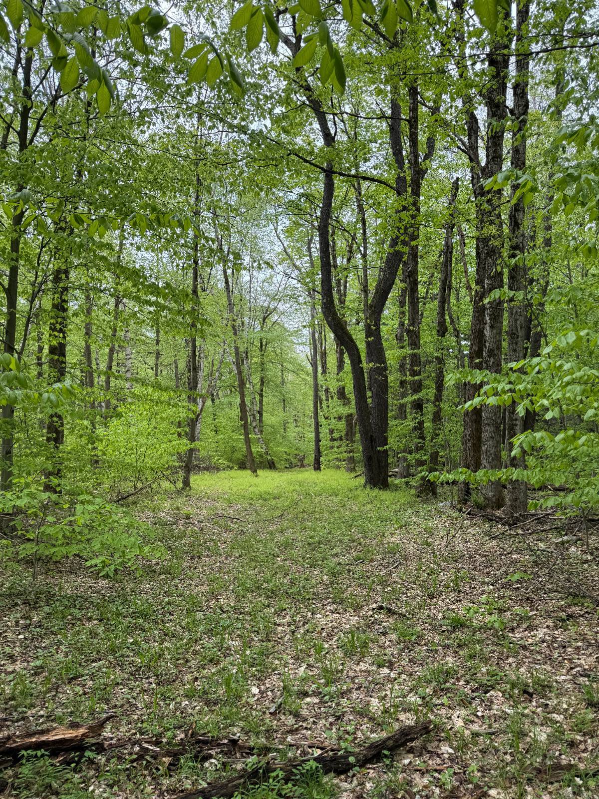 #40 photo, 586 Mosse Rd, Roseboom , NY 13320