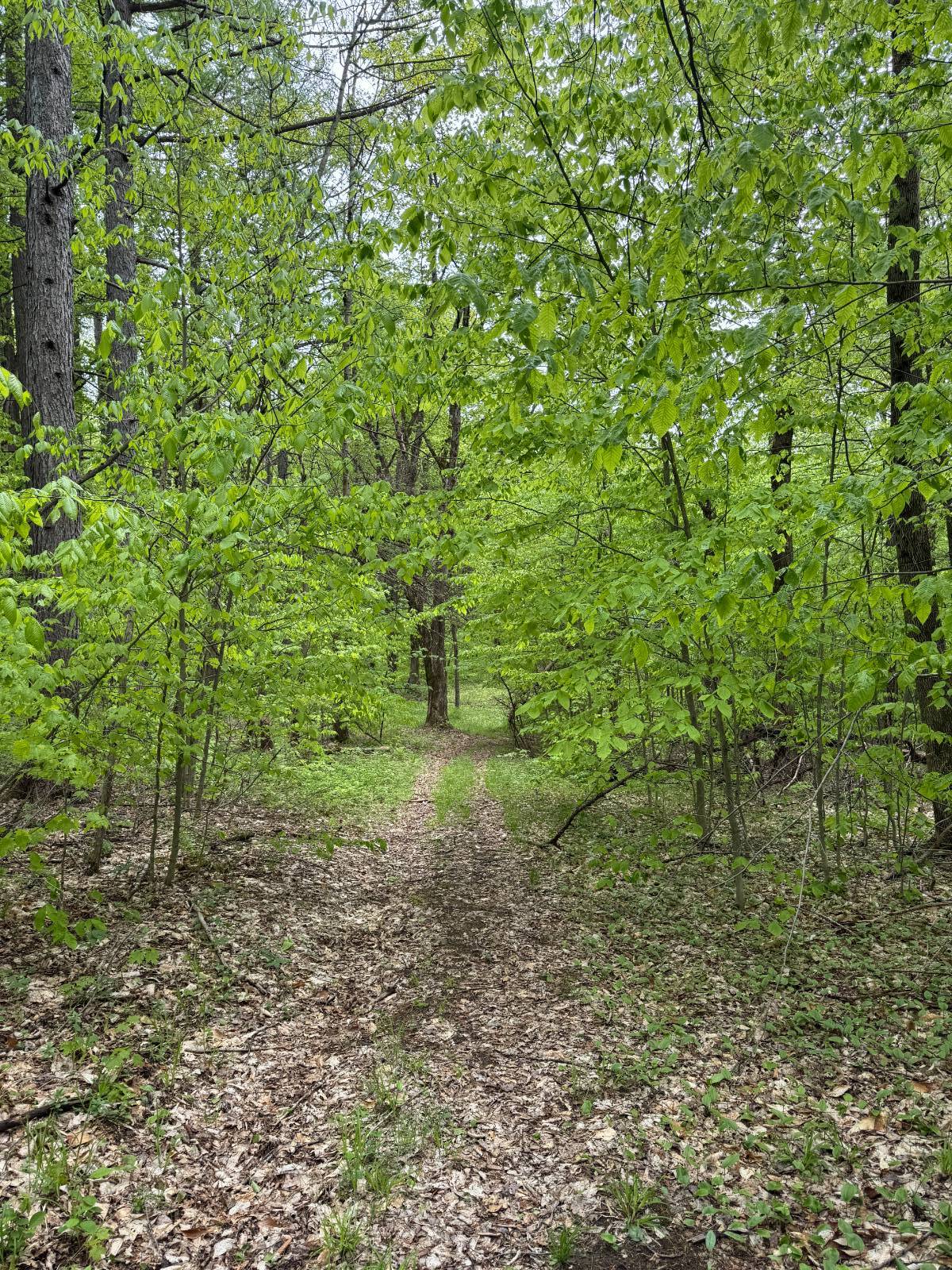 #41 photo, 586 Mosse Rd, Roseboom , NY 13320