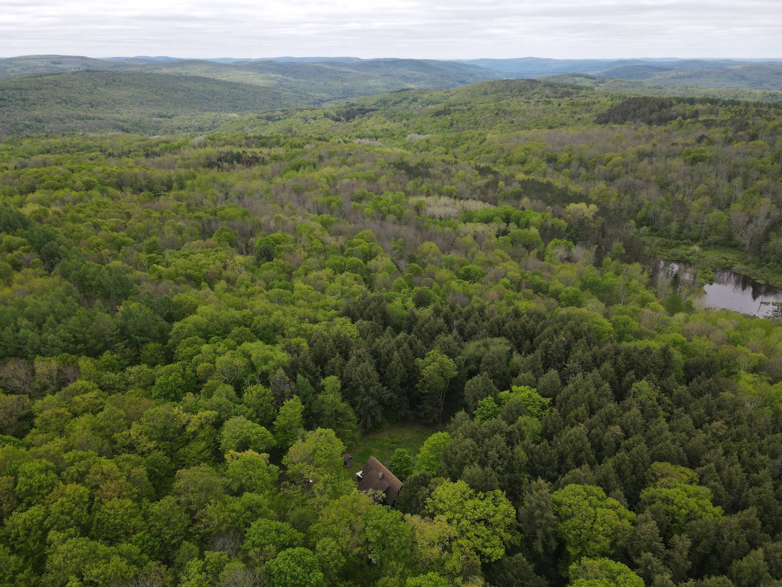 #42 photo, 586 Mosse Rd, Roseboom , NY 13320