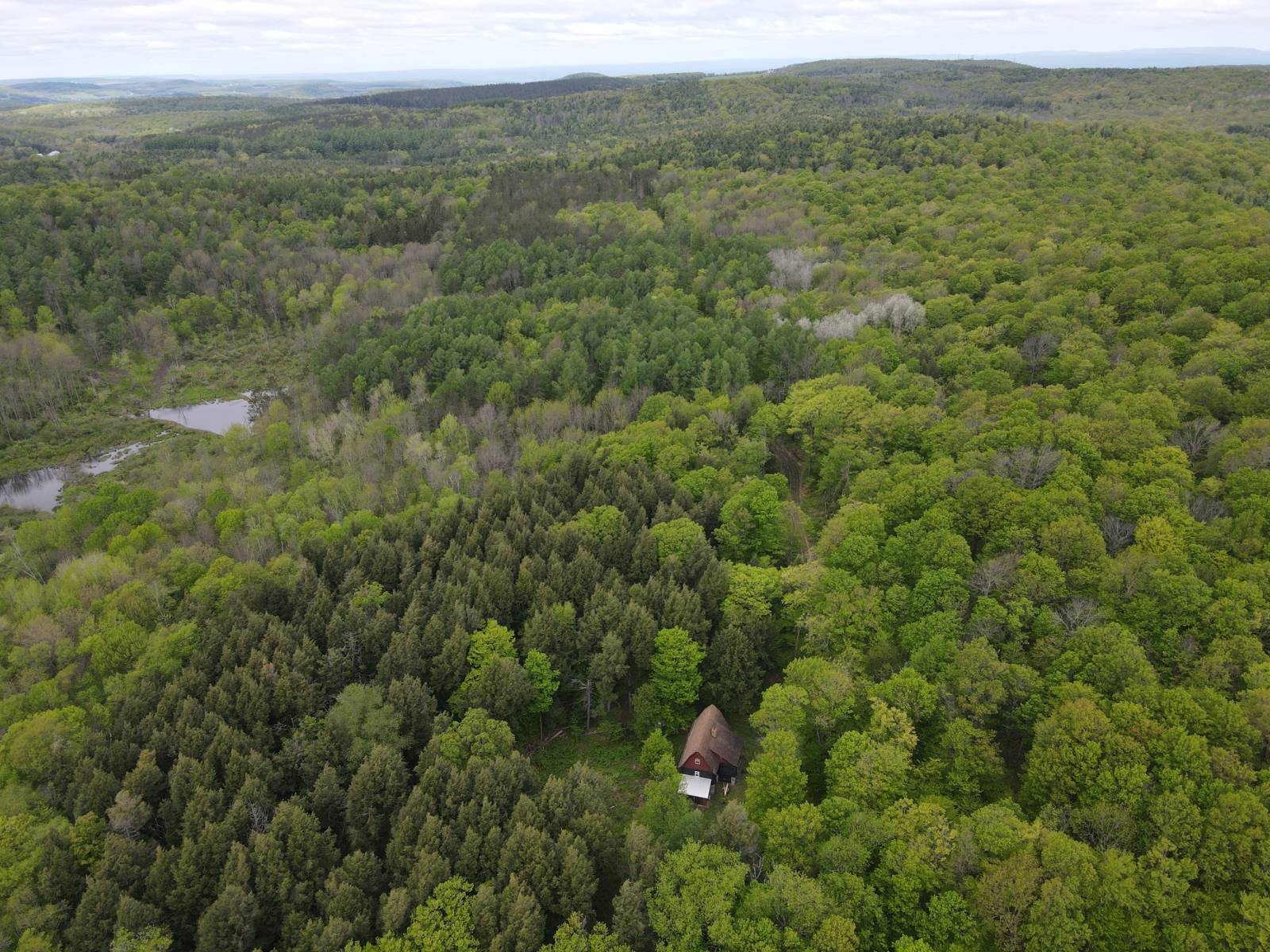 #43 photo, 586 Mosse Rd, Roseboom , NY 13320