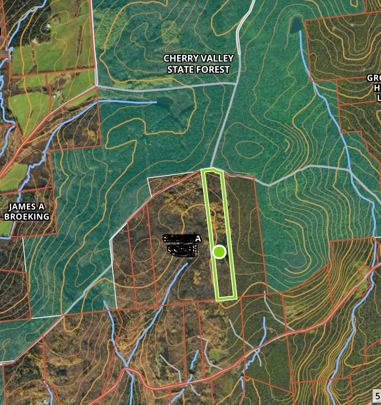 #44 photo, 586 Mosse Rd, Roseboom , NY 13320