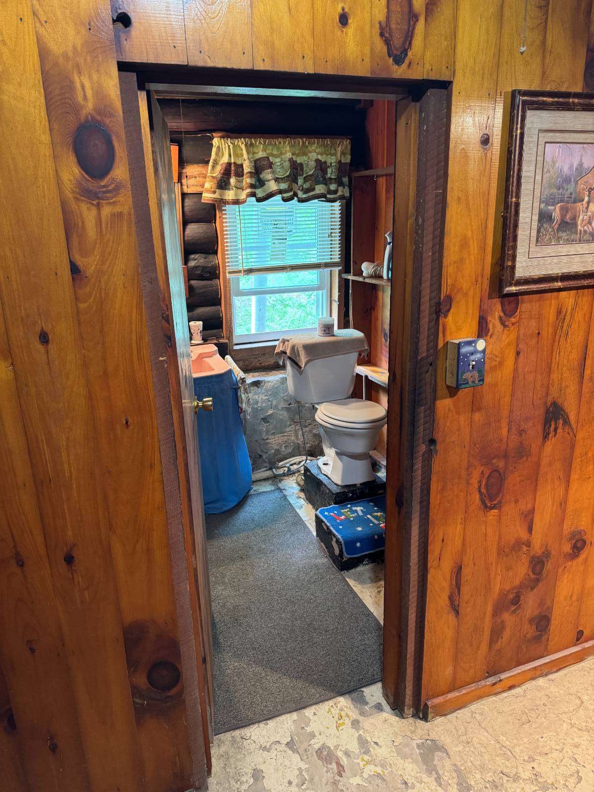 #9 photo, 586 Mosse Rd, Roseboom , NY 13320