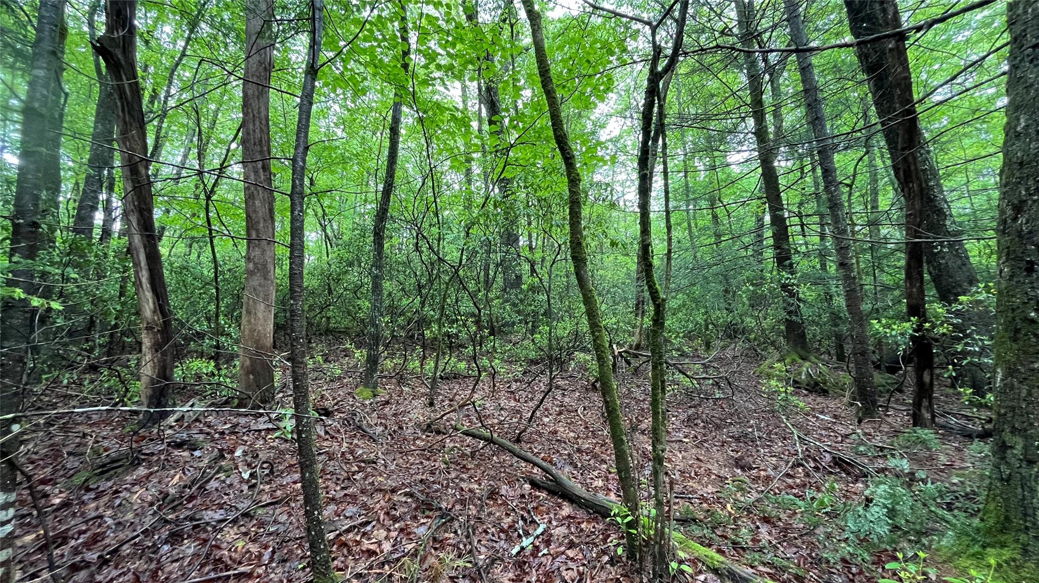 #8 photo, 14 Saw Pitt Road, Kerhonkson , NY 12446