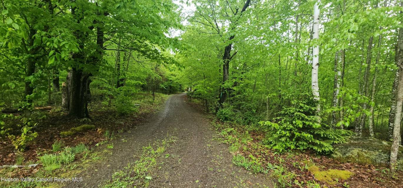 #10 photo, 143 Pond View Rd., Conesville , NY 12076