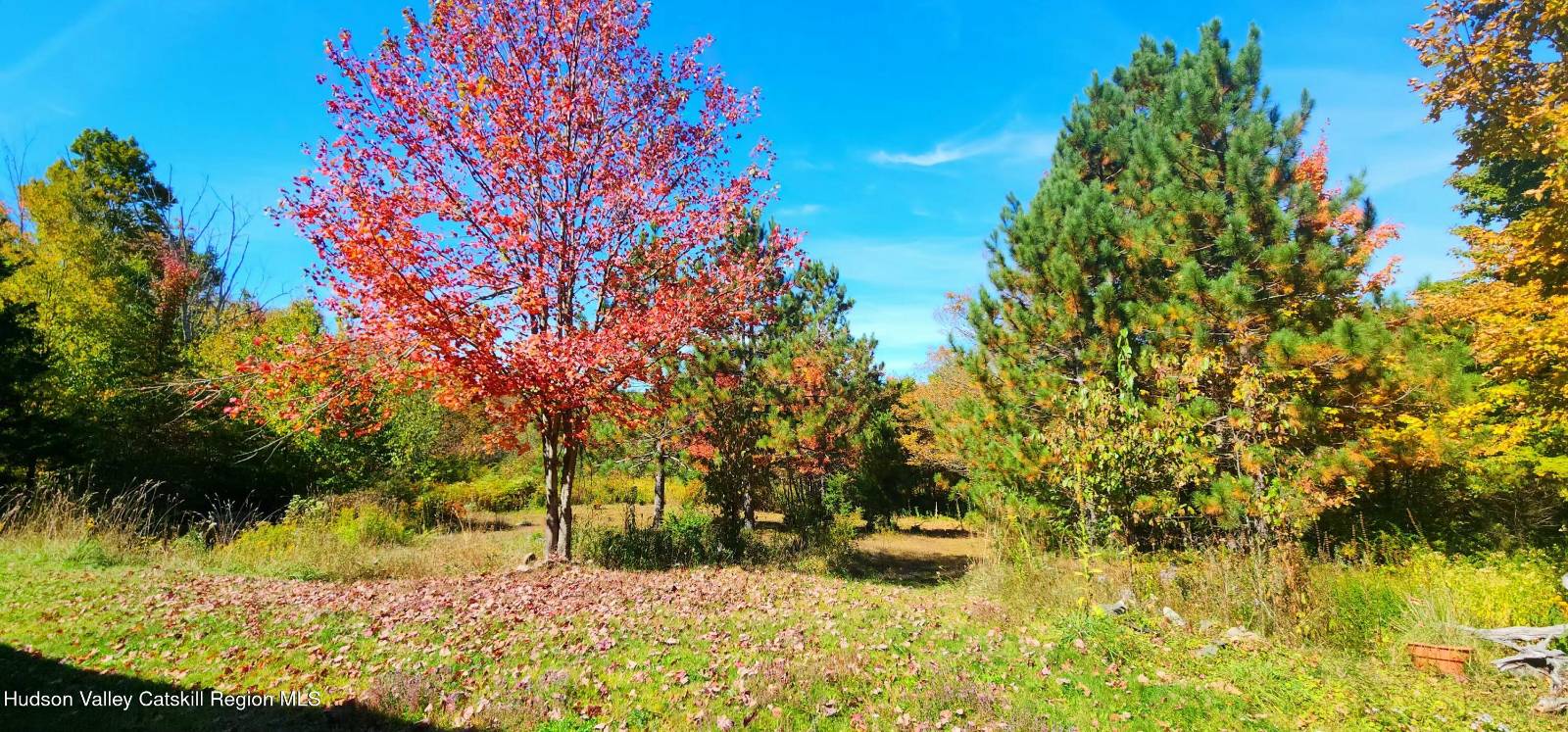 #2 photo, 143 Pond View Rd., Conesville , NY 12076