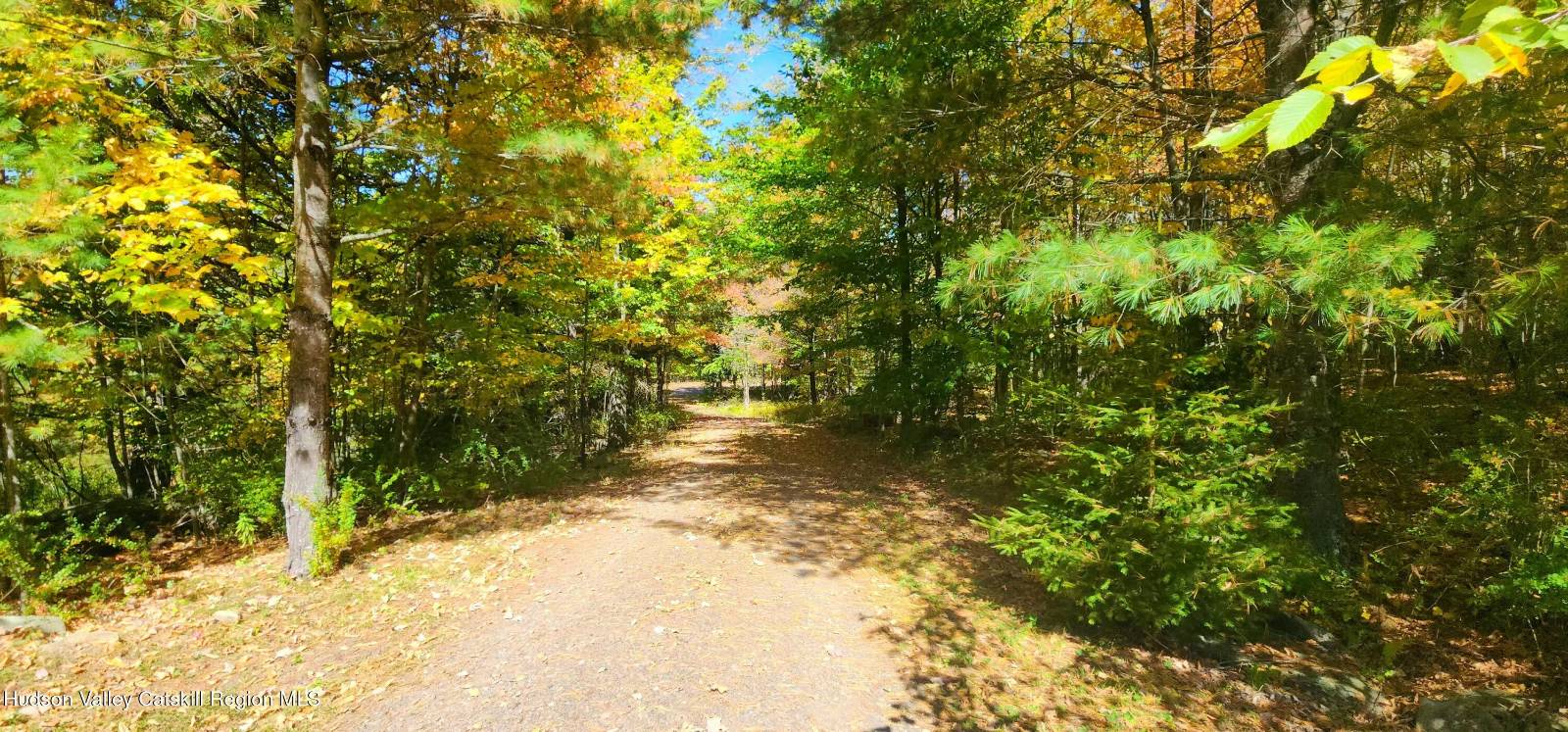 #3 photo, 143 Pond View Rd., Conesville , NY 12076