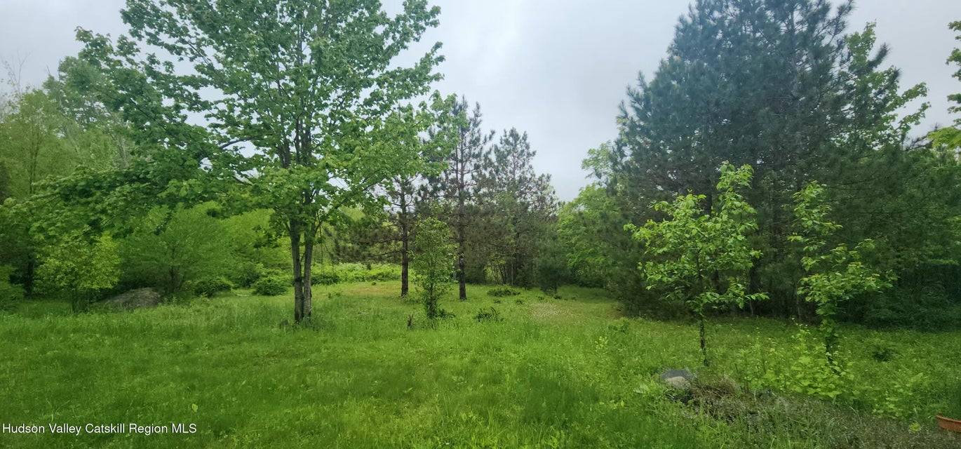 #8 photo, 143 Pond View Rd., Conesville , NY 12076