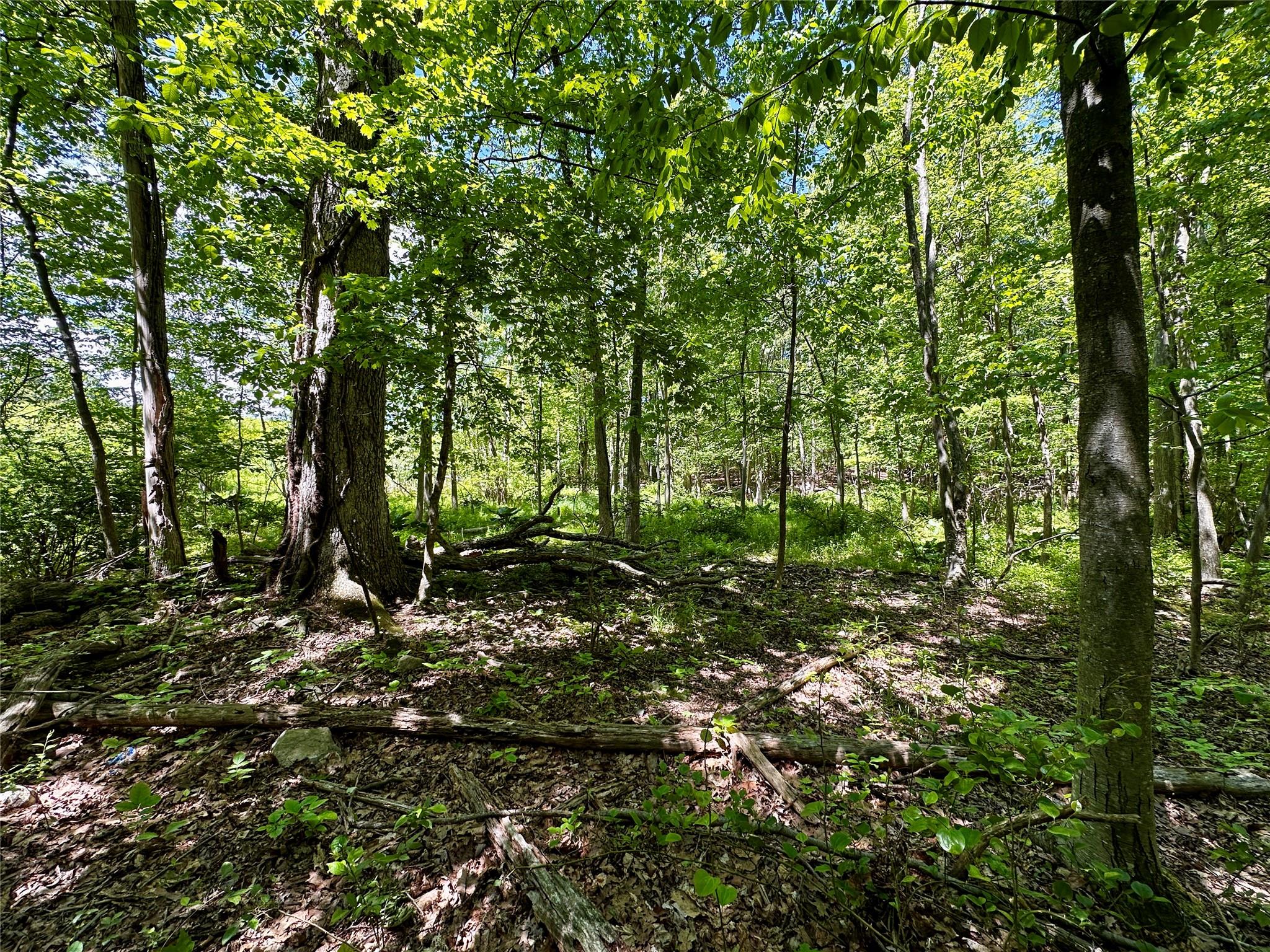 #2 photo, Rye Hill Road, Monroe , NY 10950